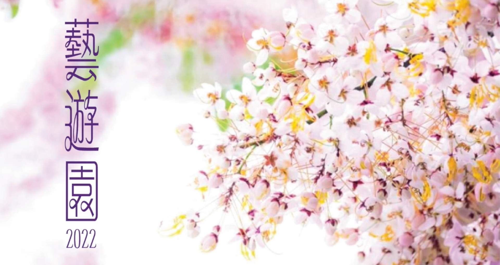 Main image for Garden Sketches 2022