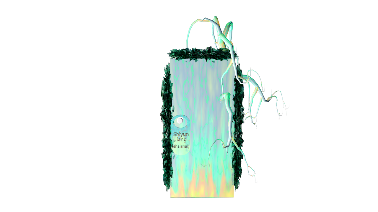 Shiyun Jiang's Door of Void