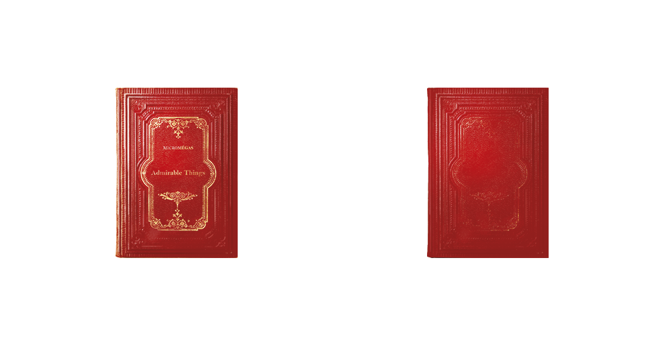 MICROMEGAS - Admirable Things Book