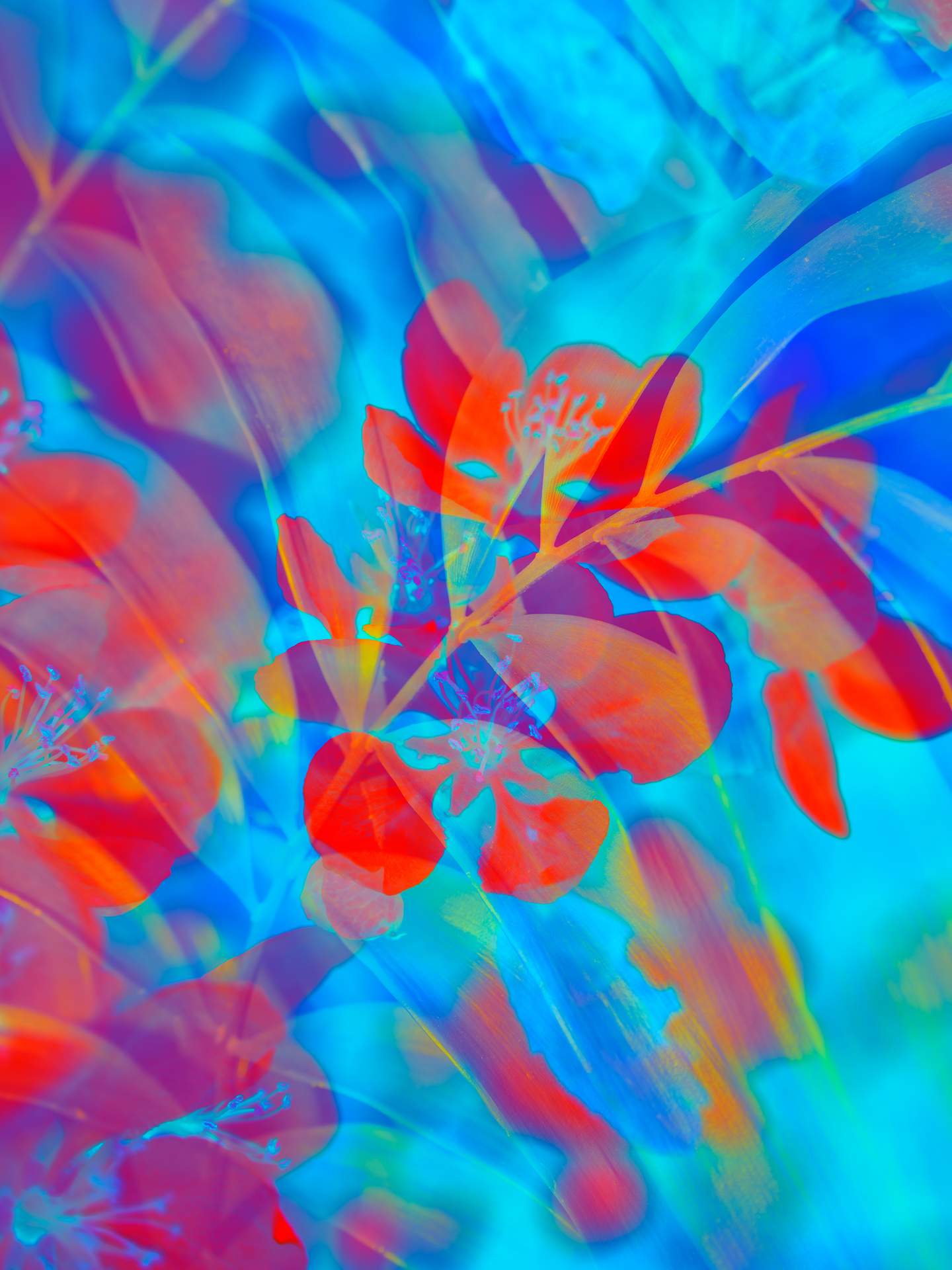 A digital collage, consisting of layers of photographic images in an array of hyper-realistic colours. Various photographs of flowers and plants can be seen colliding with each other. The dominating colours are blue and red.