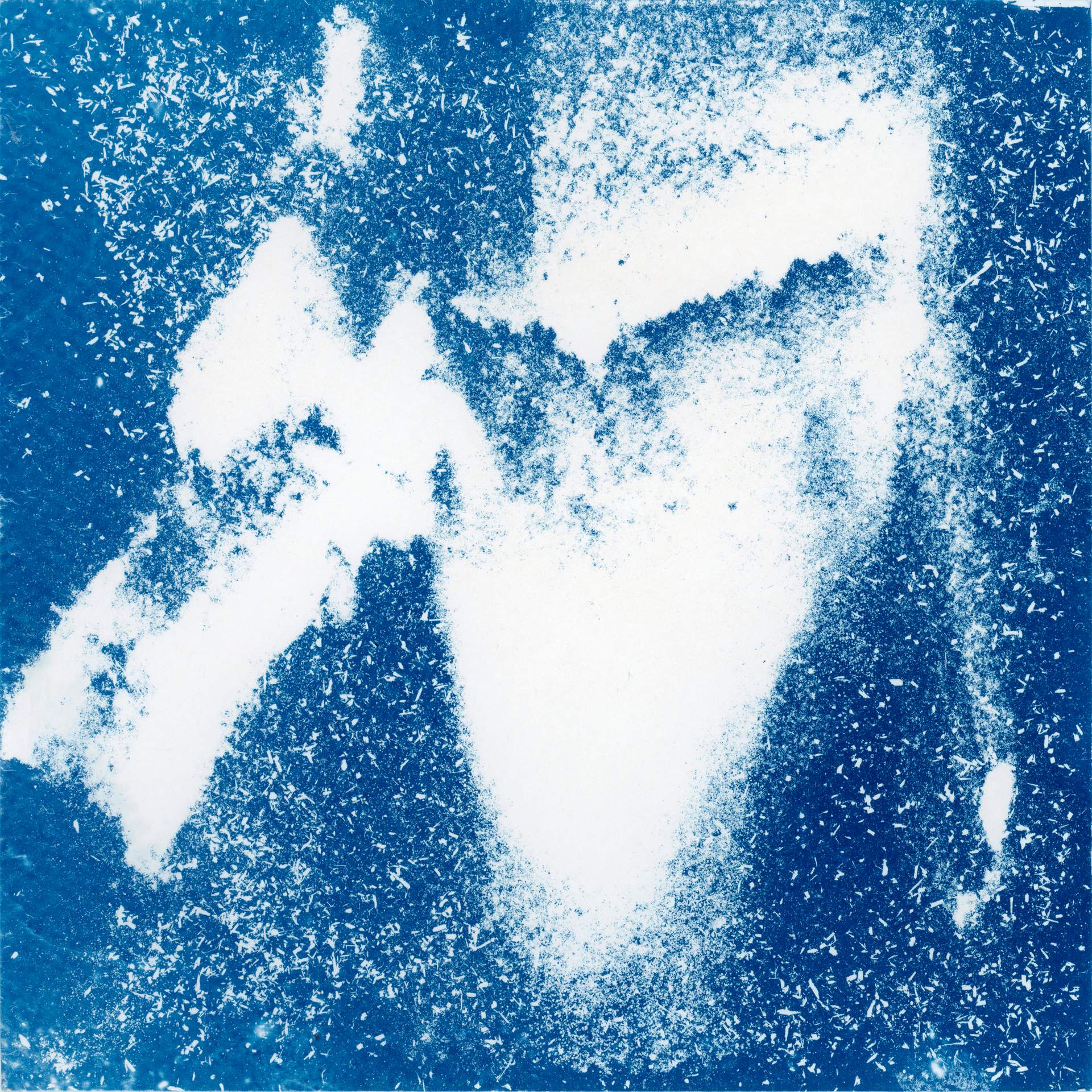 A square cyanotype showing hundreds of white particles of dust, seeds and soil against a deep blue background. There is a distinctive abstracted shape formed by the particles clumping together. The particles appear frozen in time, suggesting that we are viewing them as they move through a storm.