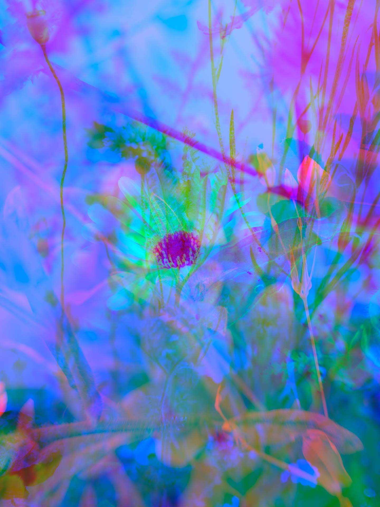 A digital collage, consisting of layers of photographic images of wild flowers and plants in an array of hyper-realistic colours. The dominating colours are blue and green.