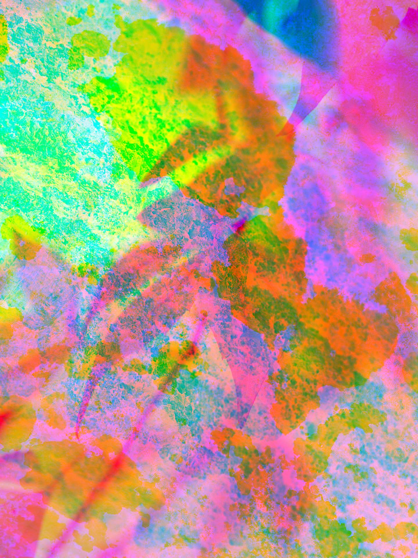 A collage of photographs in an array of hyper-realistic colours. The abstracted branches of a tree can be seen in the foreground, donned with hundreds of leaves. In the background is an inverted close-up photograph of bark.