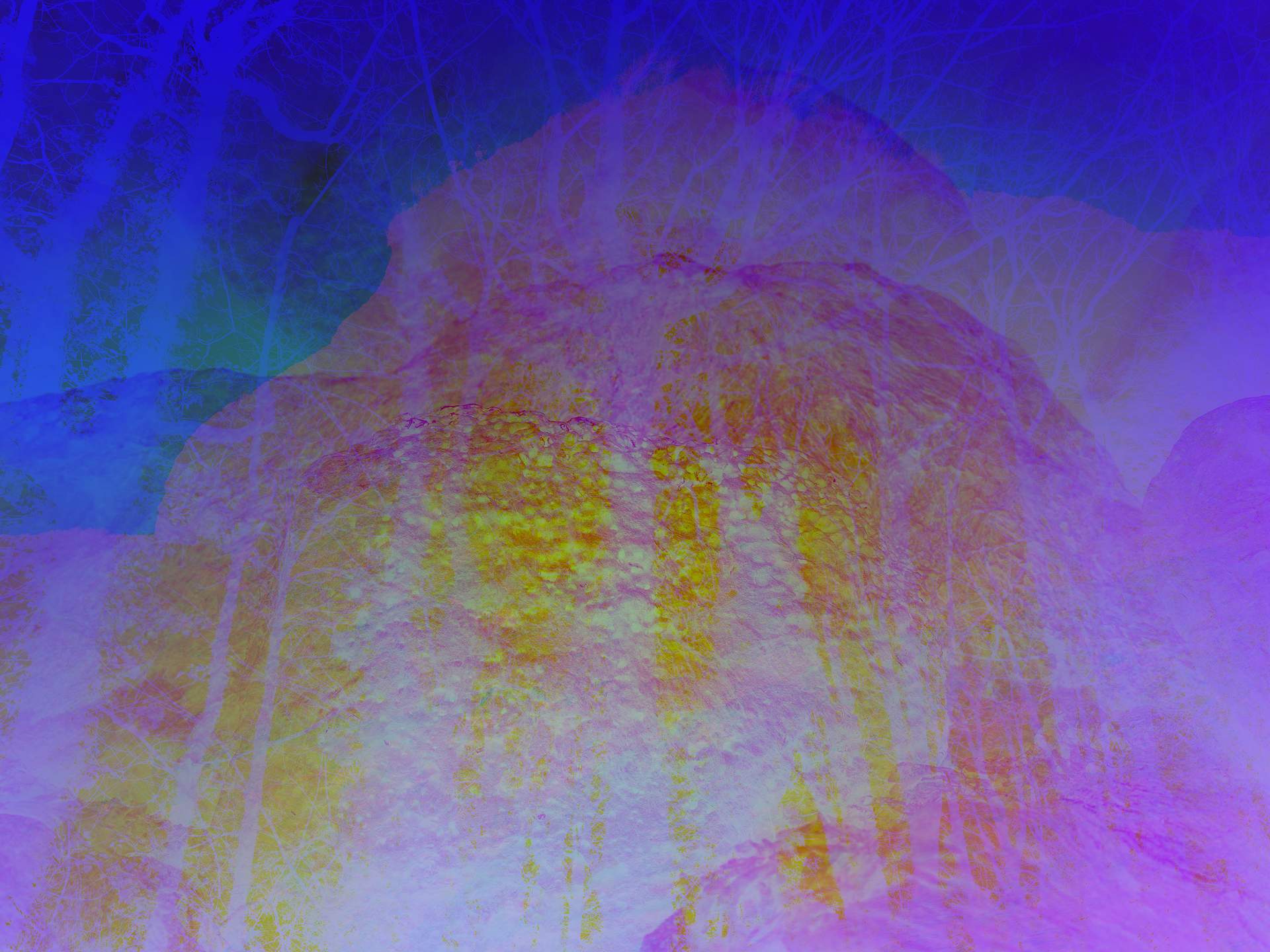 A digital collage consisting of multiple layers of photographs in an array of hyper-realistic colours. Seaweed, covering multiple rocks, can be seen in the foreground. Below this is an inverted image of a forest. The scene appears eerie and ethereal.