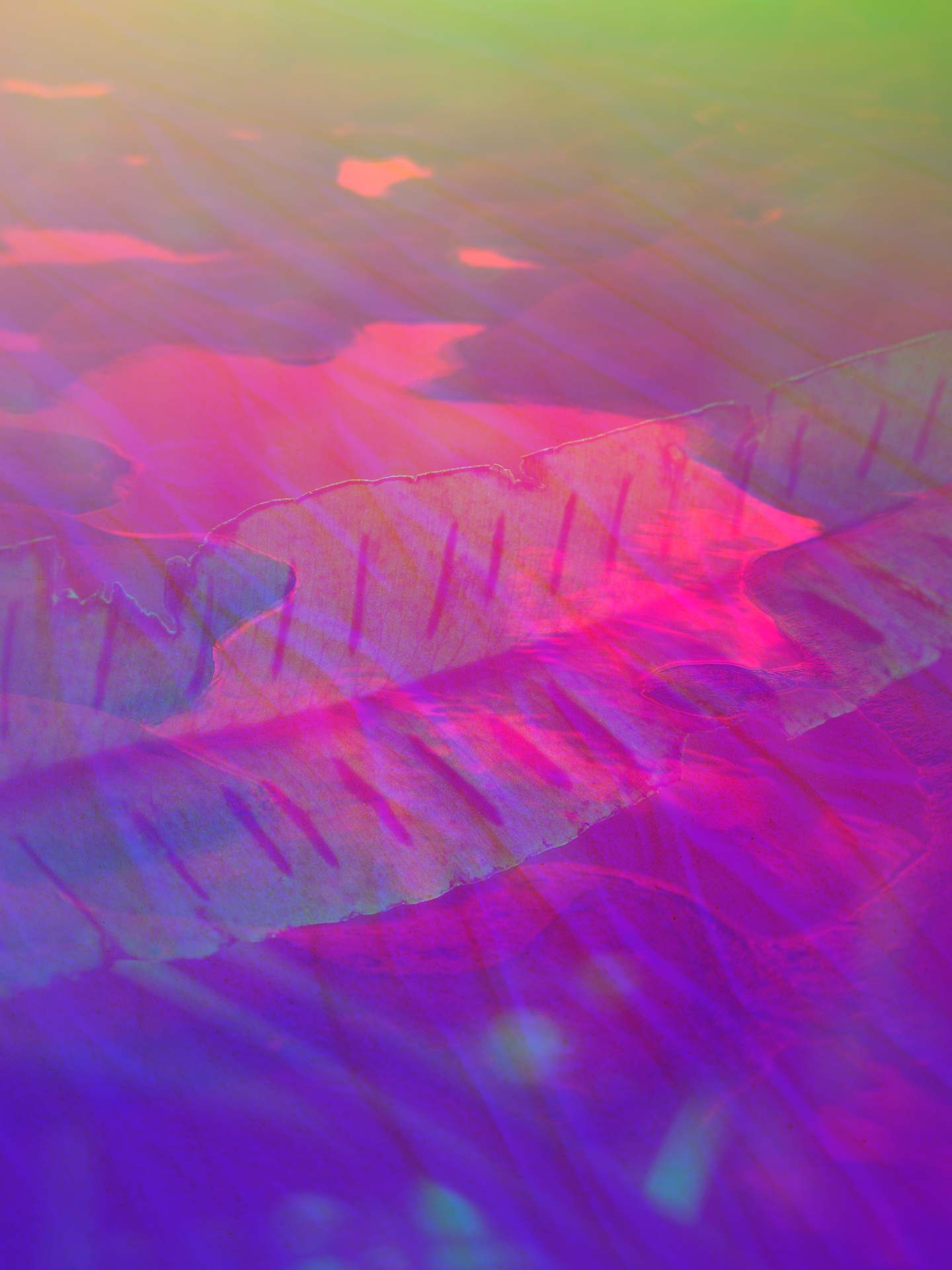 A digital collage, consisting of layers of photographic images in an array of hyper-realistic colours. The image of a leaf with the sun shining from behind can be seen on top of an image of a rock pool by the sea.