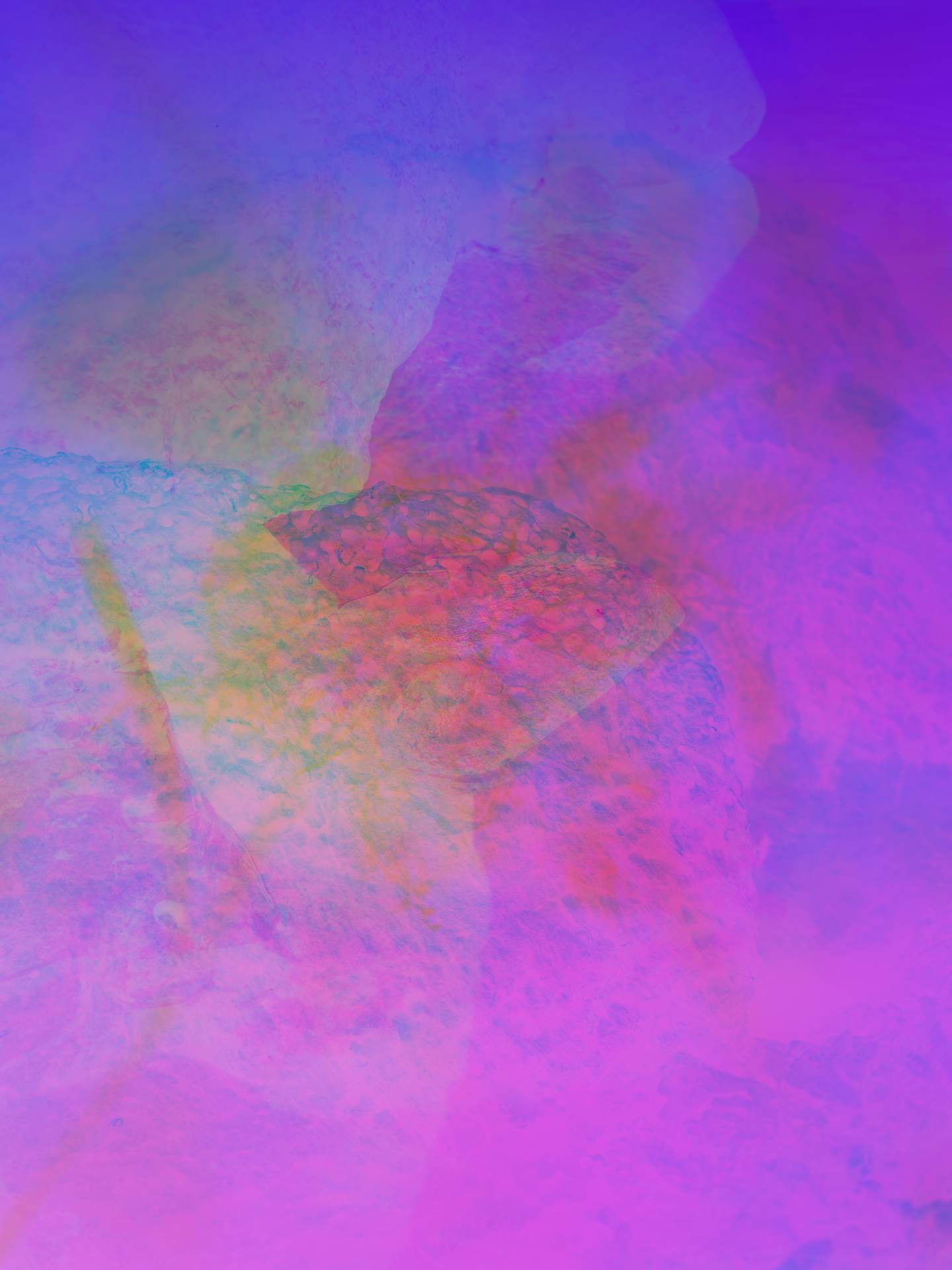A digital collage consisting of multiple layers of photographs in an array of hyper-realistic colours. Rocks covered in seaweed can be seen faintly in the centre of the image, and below this is another image of a different type of rock. With the various shapes of rocks colliding together, distinctive forms are lost.