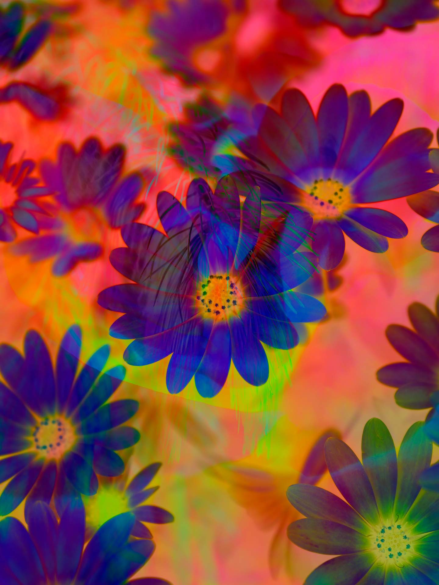 A digital collage, consisting of layers of photographic images in an array of hyper-realistic colours. Various photographs of flowers and plants can be seen colliding with each other. The dominating colours are yellow, coral and blue.