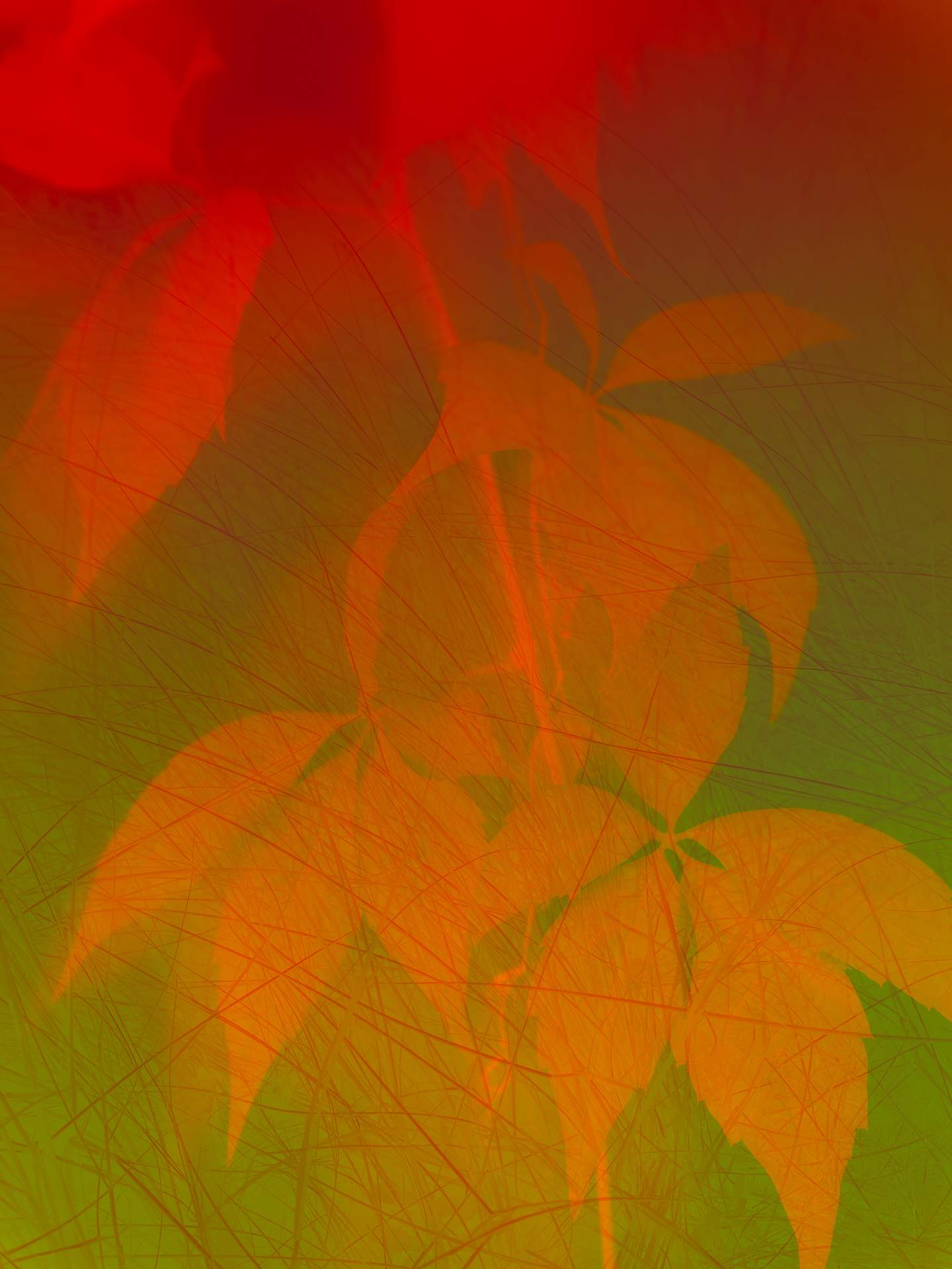 A collage of photographs in an array of hyper-realistic colours. Autumn leaves can be seen in the foreground, surrounded by a soft glow. Behind this image is the photograph of a coastal sand dune.