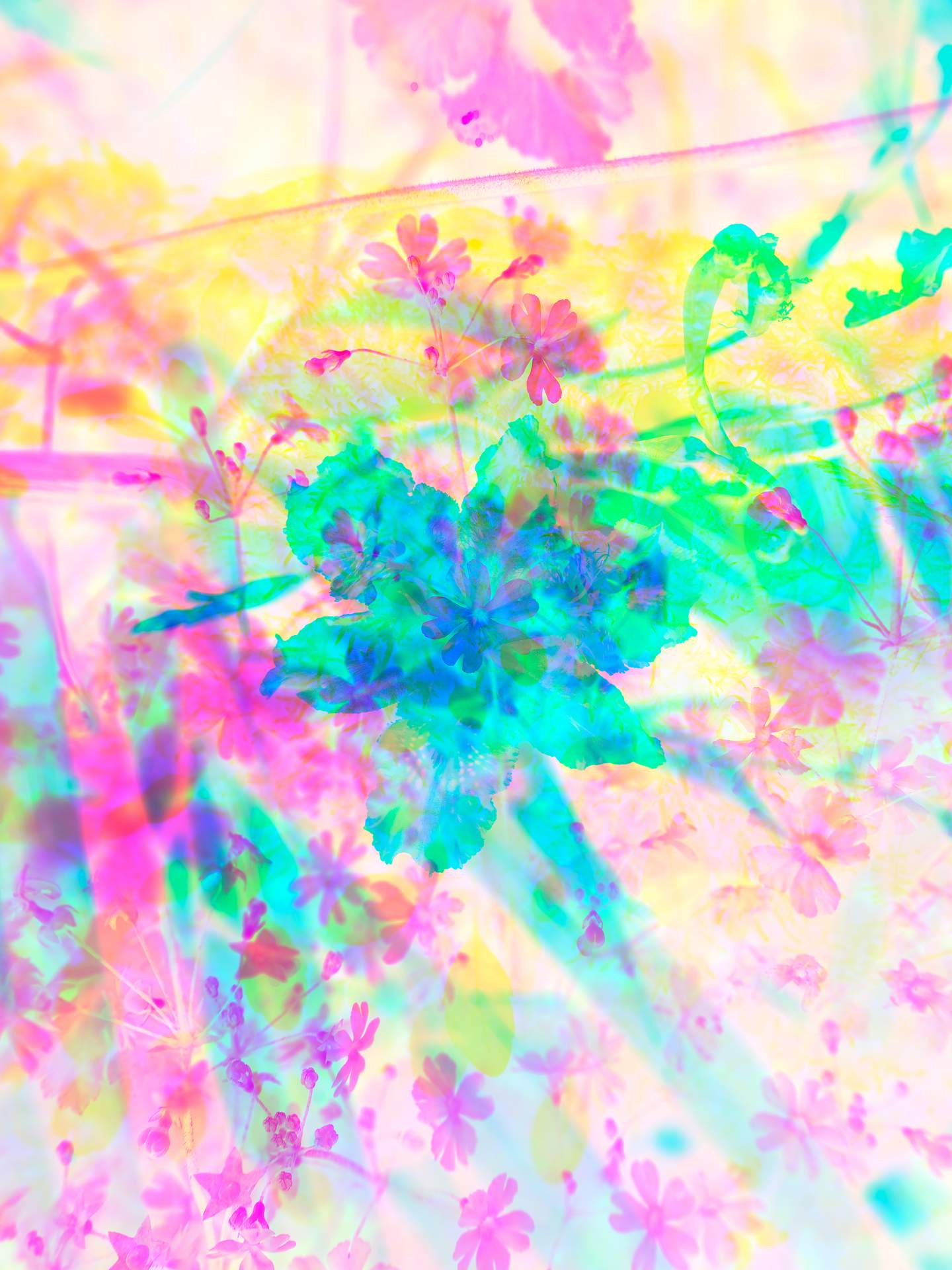 A digital collage, consisting of layers of photographic images of wild flowers and plants in an array of hyper-realistic colours. The dominating colours are light pink, white and yellow.