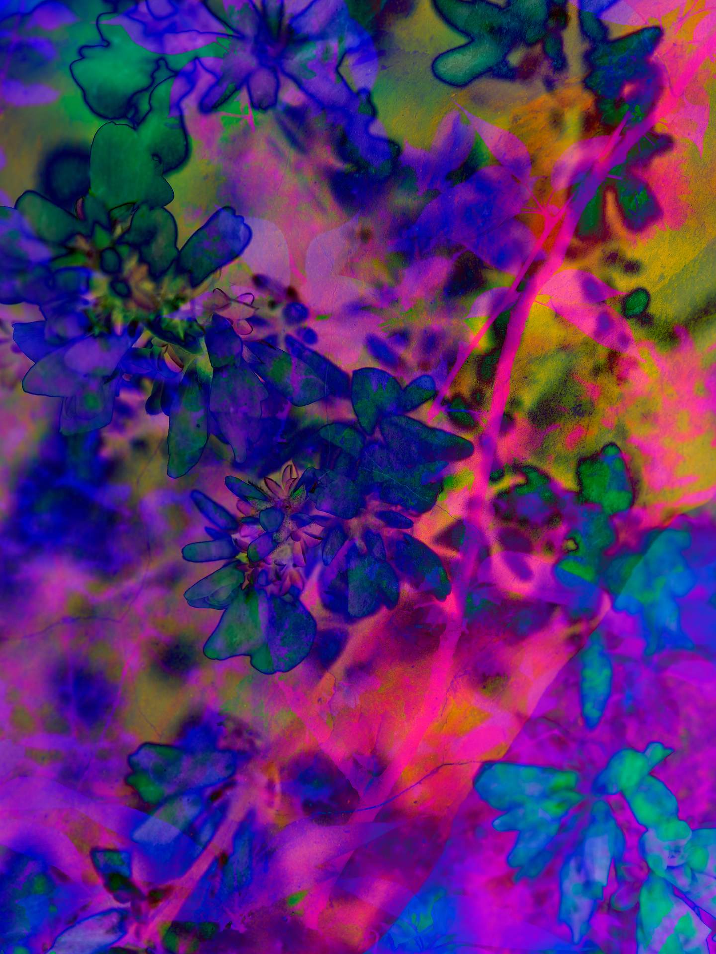 A digital collage, consisting of layers of photographic images in an array of hyper-realistic colours. Various photographs of flowers and plants can be seen colliding with each other. The dominating colours are blue, pink and purple.