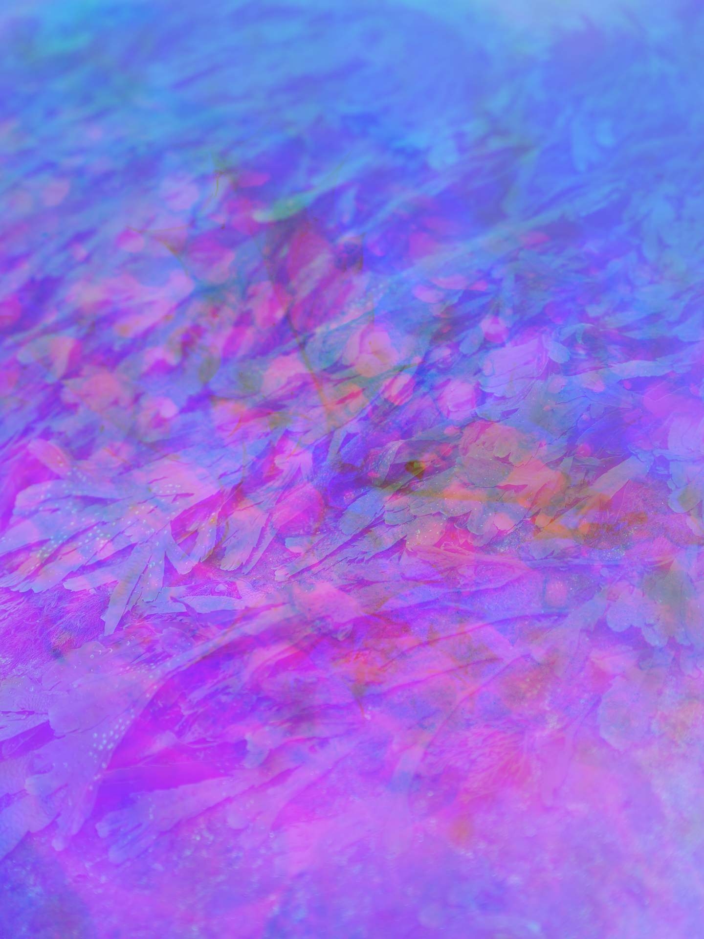 A digital collage consisting of multiple layers of photographs in an array of hyper-realistic colours. Seaweed can be seen, covering the surface of a beach. Below this image is another image of a different landscape, which is obscured by fog.