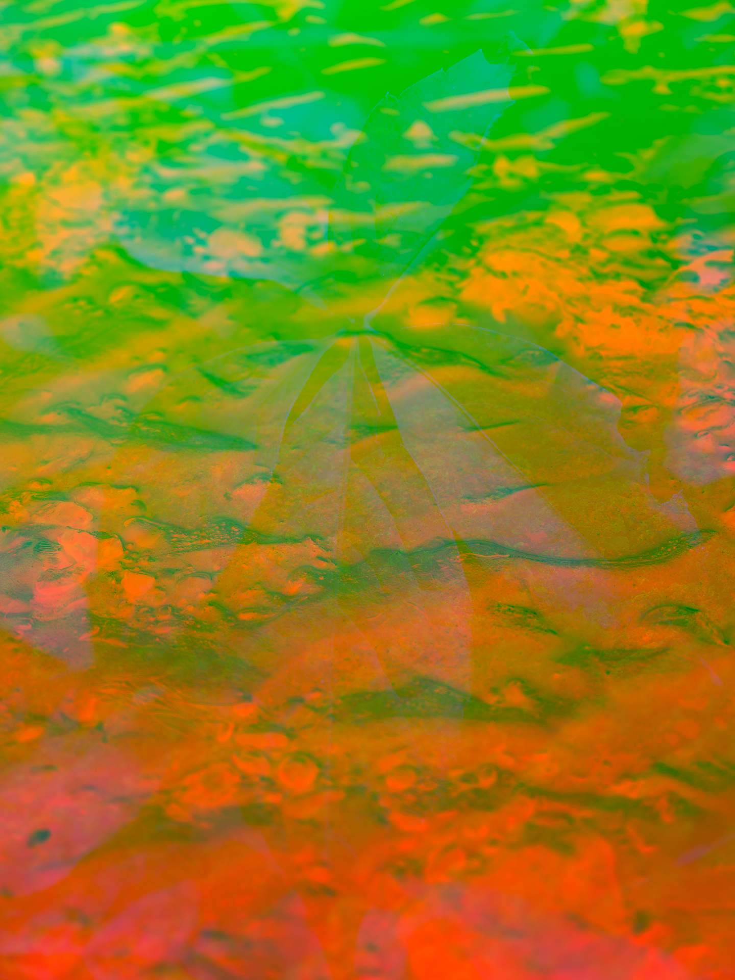 A collage of photographs in an array of hyper-realistic colours. A close-up photograph of a beach can be seen in the foreground, with a soft fog in the distance. 