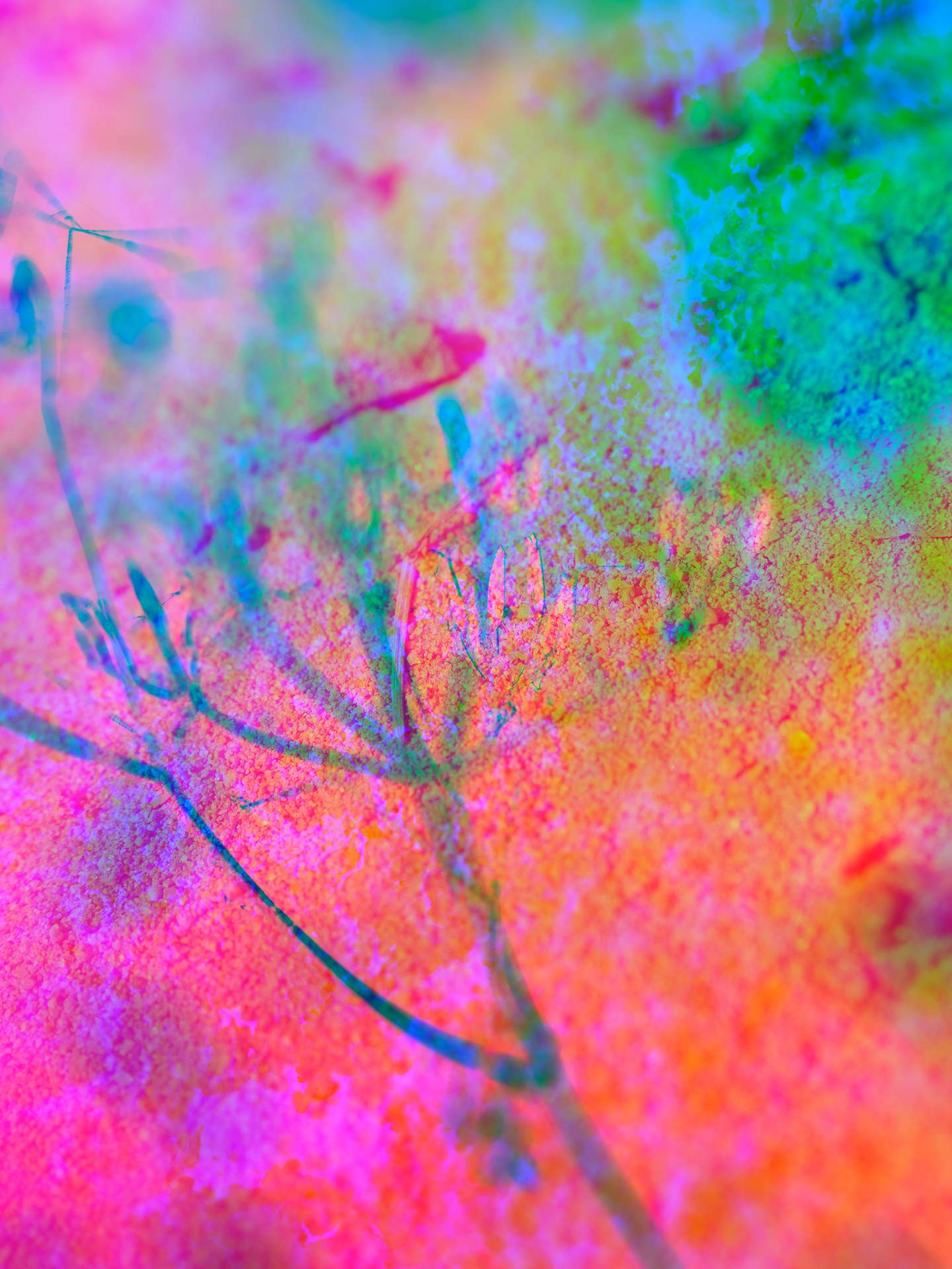 A digital collage, consisting of layers of photographic images in an array of hyper-realistic colours. The obscured image of a plant can be seen against a close-up image of sand.