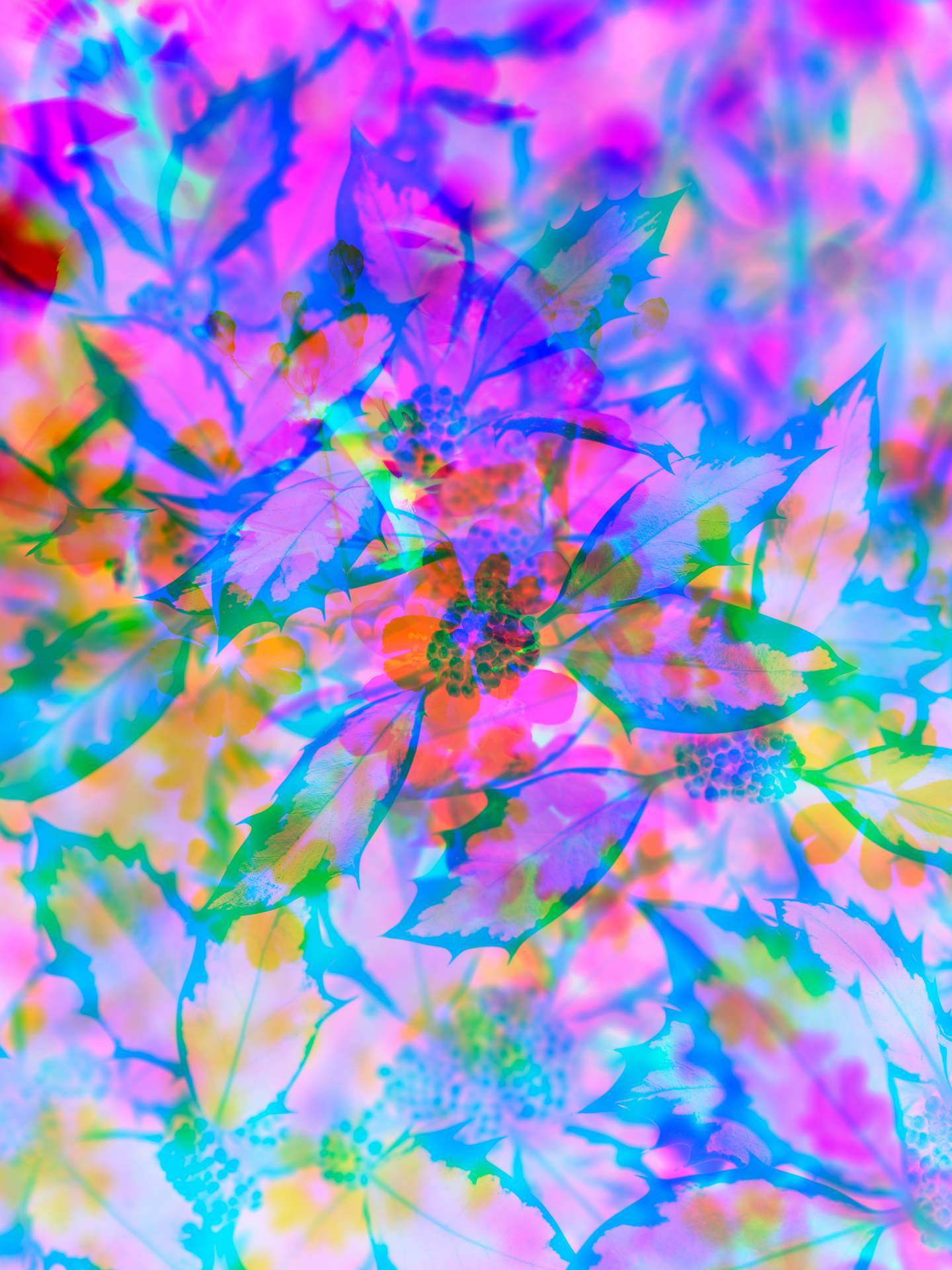 A digital collage consisting of multiple layers of photographs in an array of hyper-realistic colours. A close-up image of a holly tree can be seen in the foreground, and below this is the inverted image of flowers.