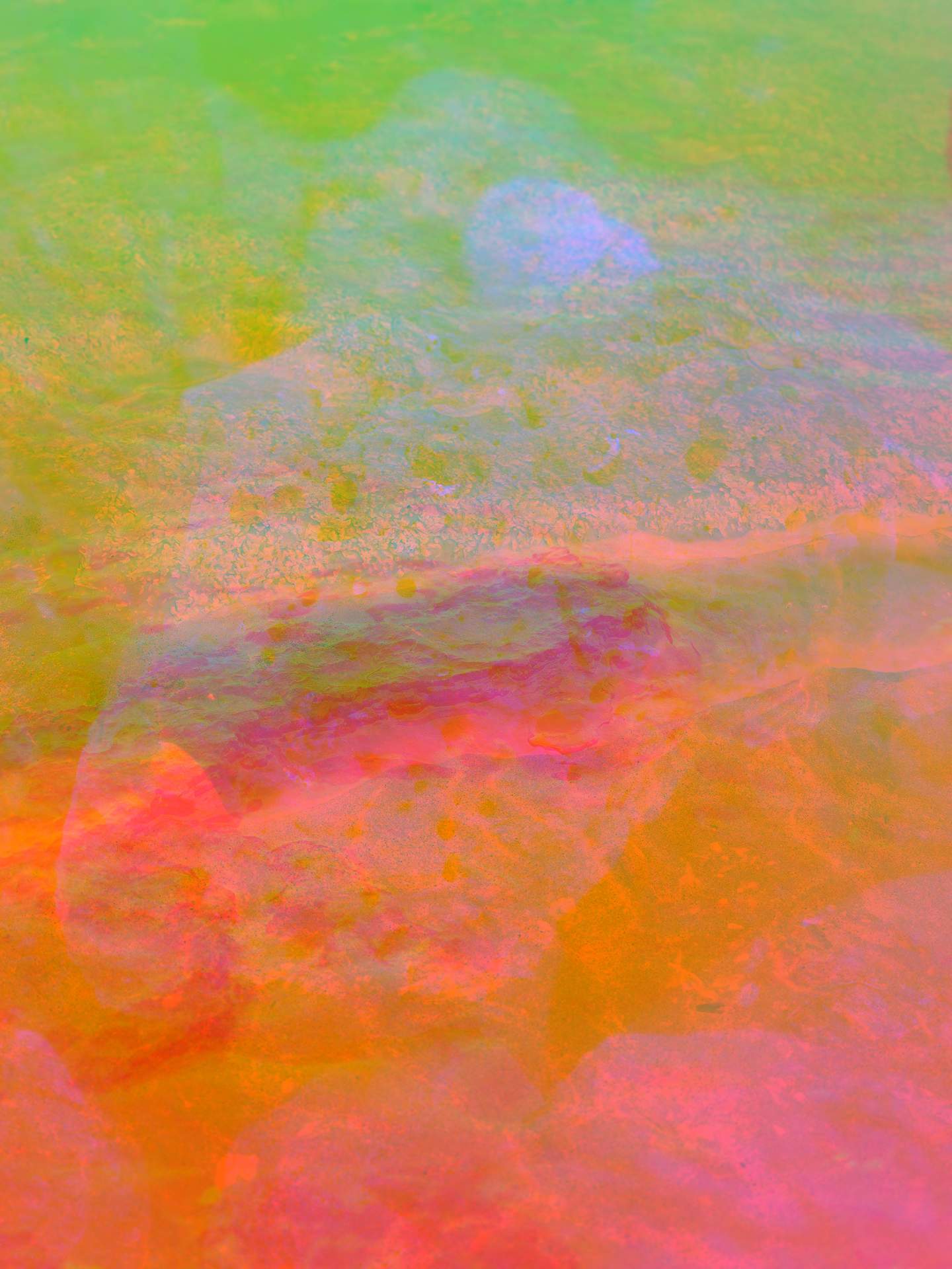A collage of photographs in an array of hyper-realistic colours. A close-up photograph of coastal rocks can be seen in the foreground, with a soft fog in the distance. 