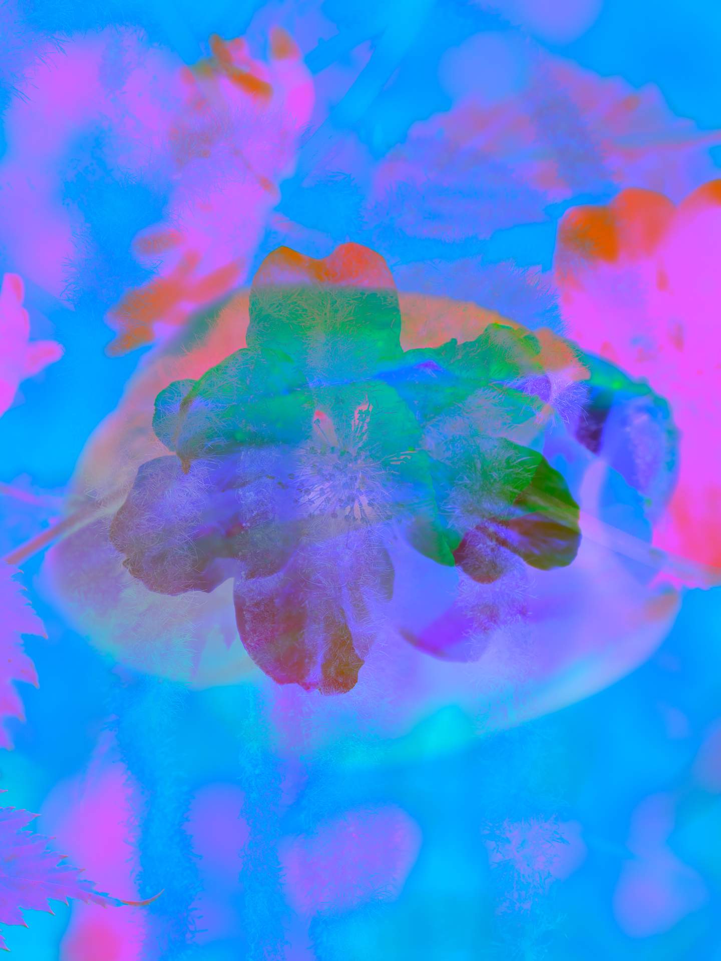A digital collage, consisting of layers of photographic images in an array of hyper-realistic colours. The inverted close-up image of a cherry blossom flower can be seen against the obscured image of a large flower. The dominating colour is blue.