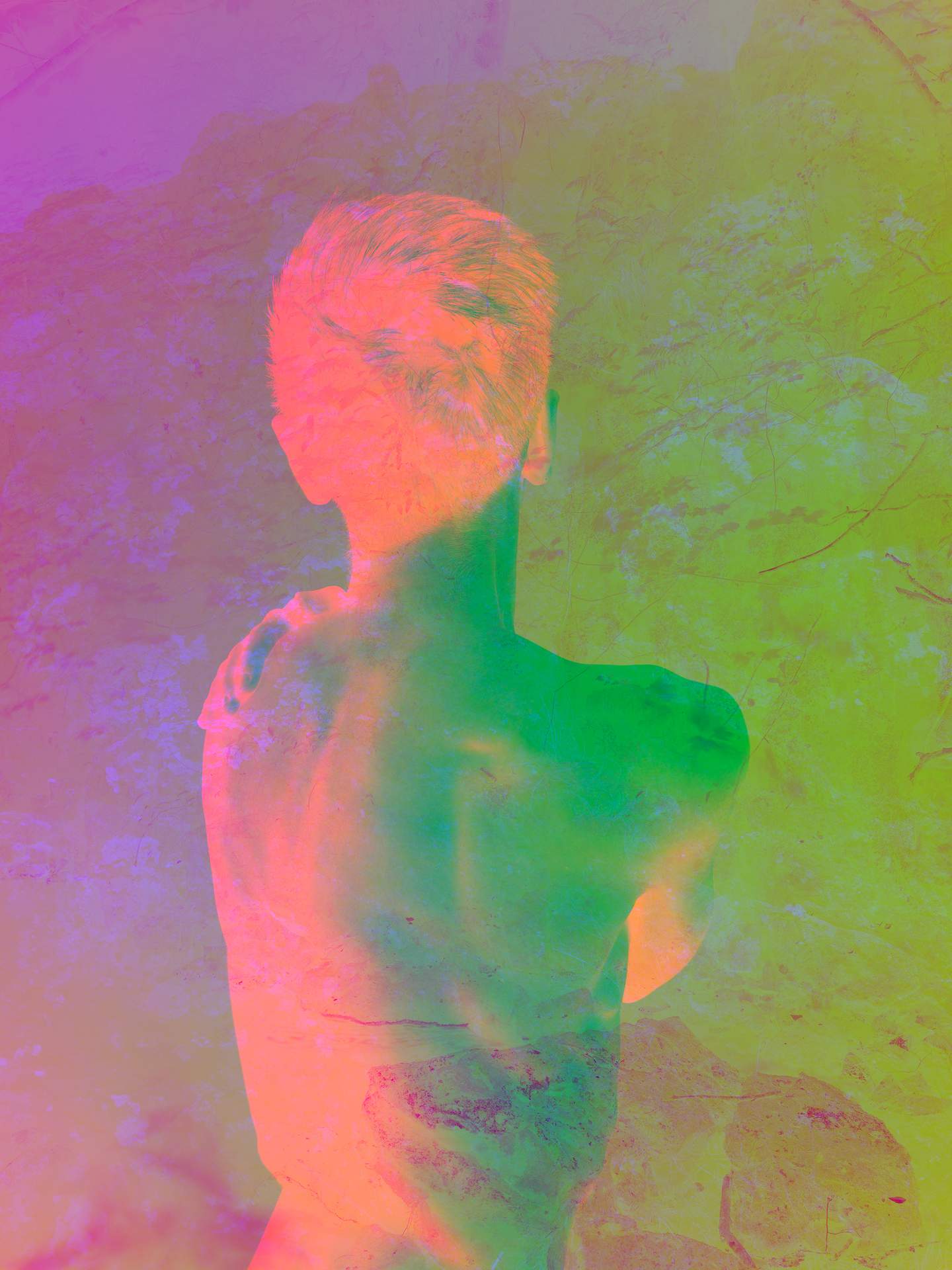 A collage of photographs in an array of hyper-realistic colours. The figure of a man can be seen in the foreground, turning away from the camera, and around him is a natural landscape made up of rocks, plants and trees.