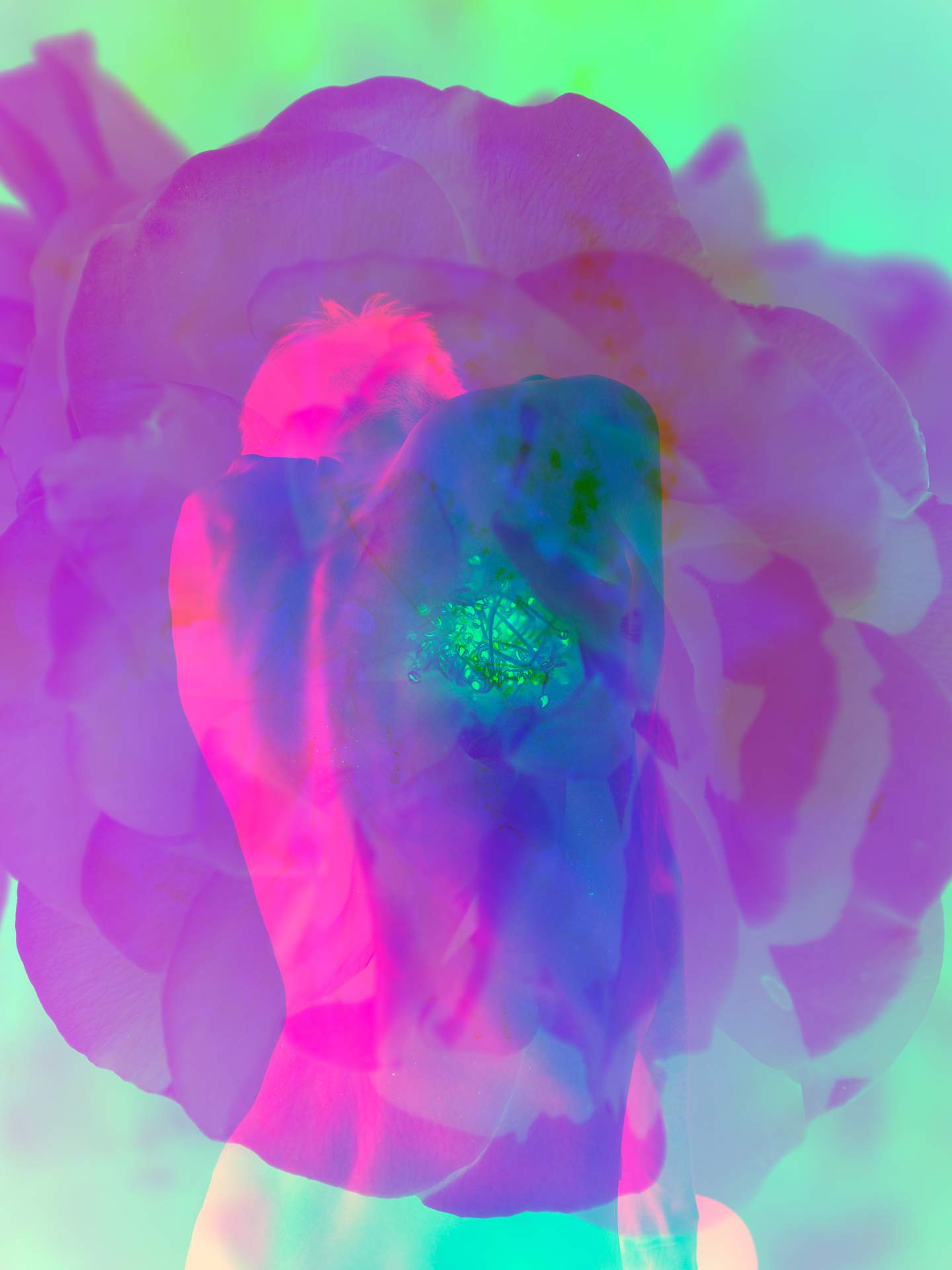 A digital collage, consisting of layers of photographic images in an array of hyper-realistic colours. The back of a bare-chested man can be seen in the centre, with his shoulders arched upwards and his head looking down. On top of him is the image of an inverted rose.