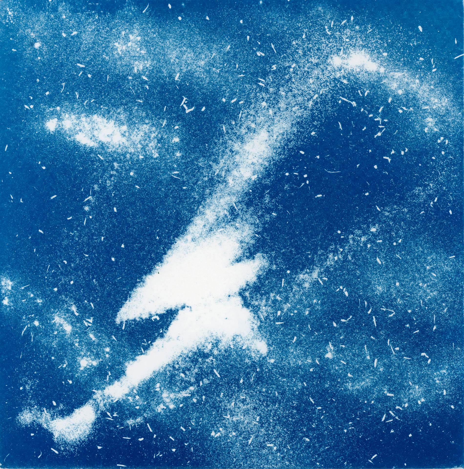 A square cyanotype showing hundreds of white particles of dust, seeds and soil against a deep blue background. There is a distinctive abstracted shape formed by the particles clumping together. The particles appear frozen in time, suggesting that we are viewing them as they move through a storm.