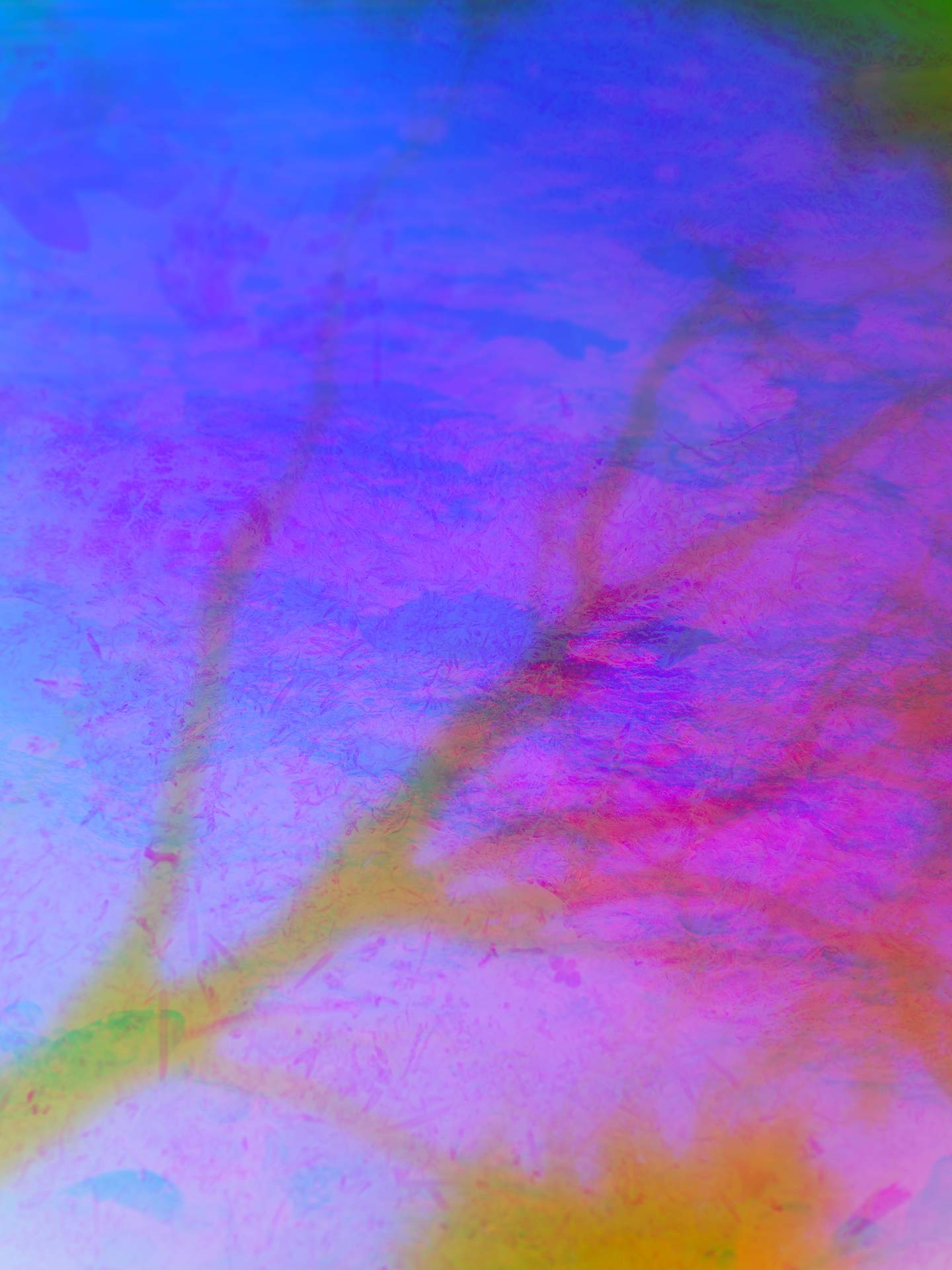 A digital collage consisting of multiple layers of photographs in an array of hyper-realistic colours. The blurry silhouette of a bare tree can be seen, and below this is an inverted image of a grassy landscape, as well as an inverted image of the surface of a beach.