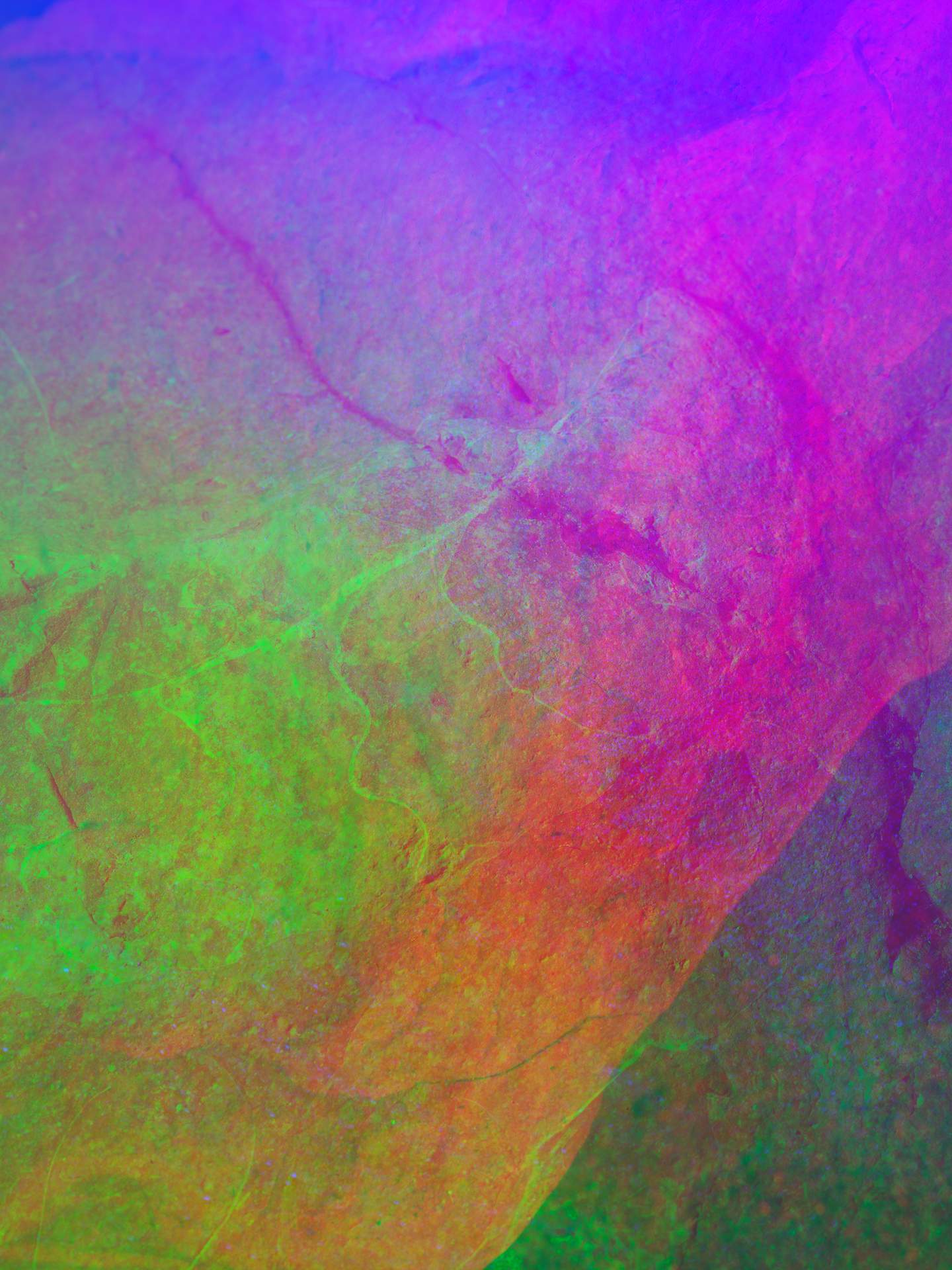 A digital collage consisting of multiple layers of photographs in an array of hyper-realistic colours. The surface of a rock can be seen, with the faint outline of an ammonite fossil.