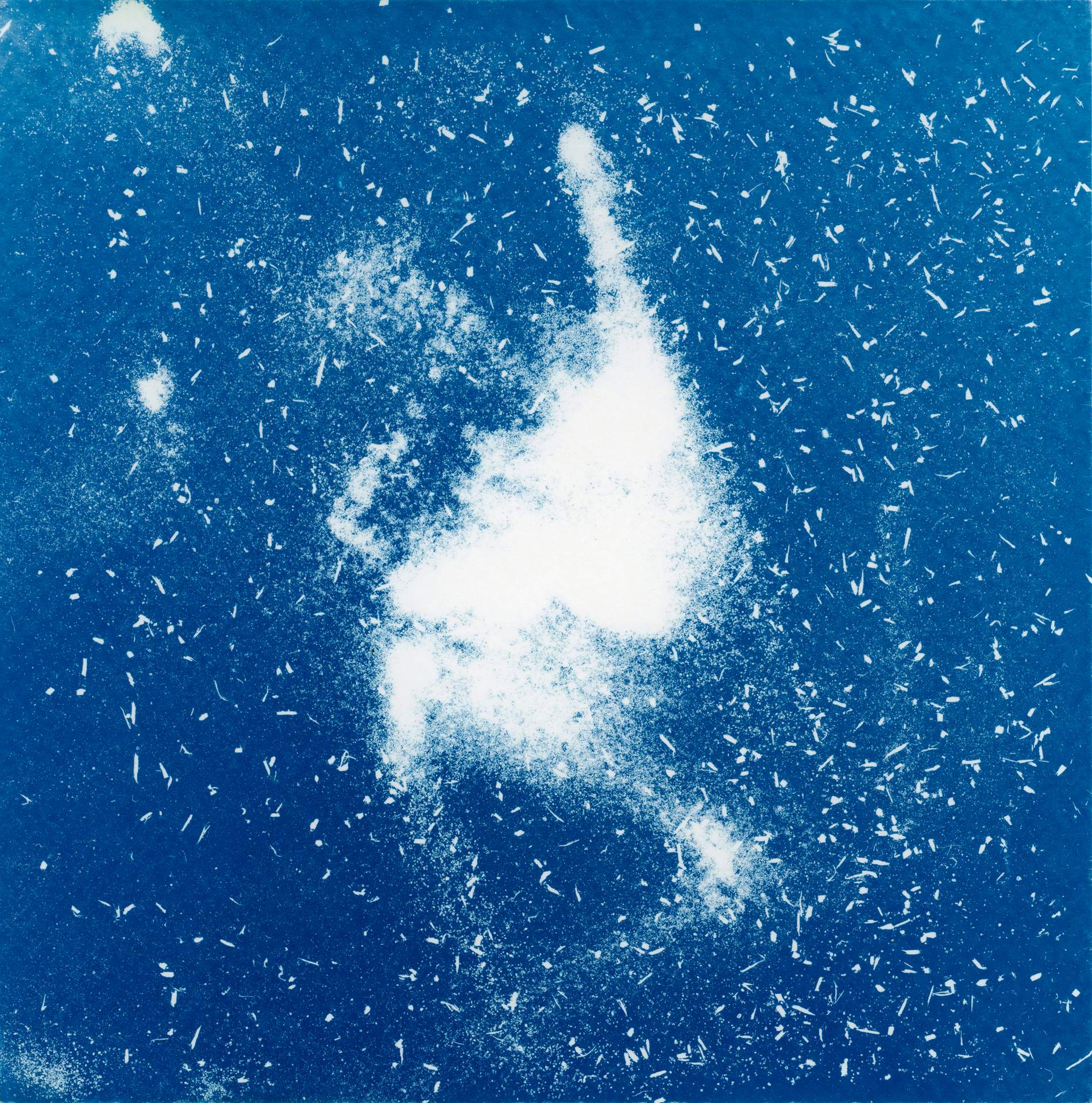 A square cyanotype showing hundreds of white particles of dust, seeds and soil against a deep blue background. There is a distinctive abstracted shape formed by the particles clumping together. The particles appear frozen in time, suggesting that we are viewing them as they move through a storm.