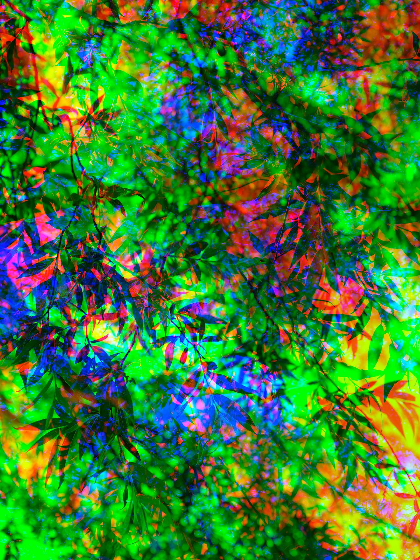 A digital collage, consisting of layers of photographic images in an array of hyper-realistic colours. Multiple photographs of trees can be seen on top of each other, creating the impression of an endless amount of leaves.