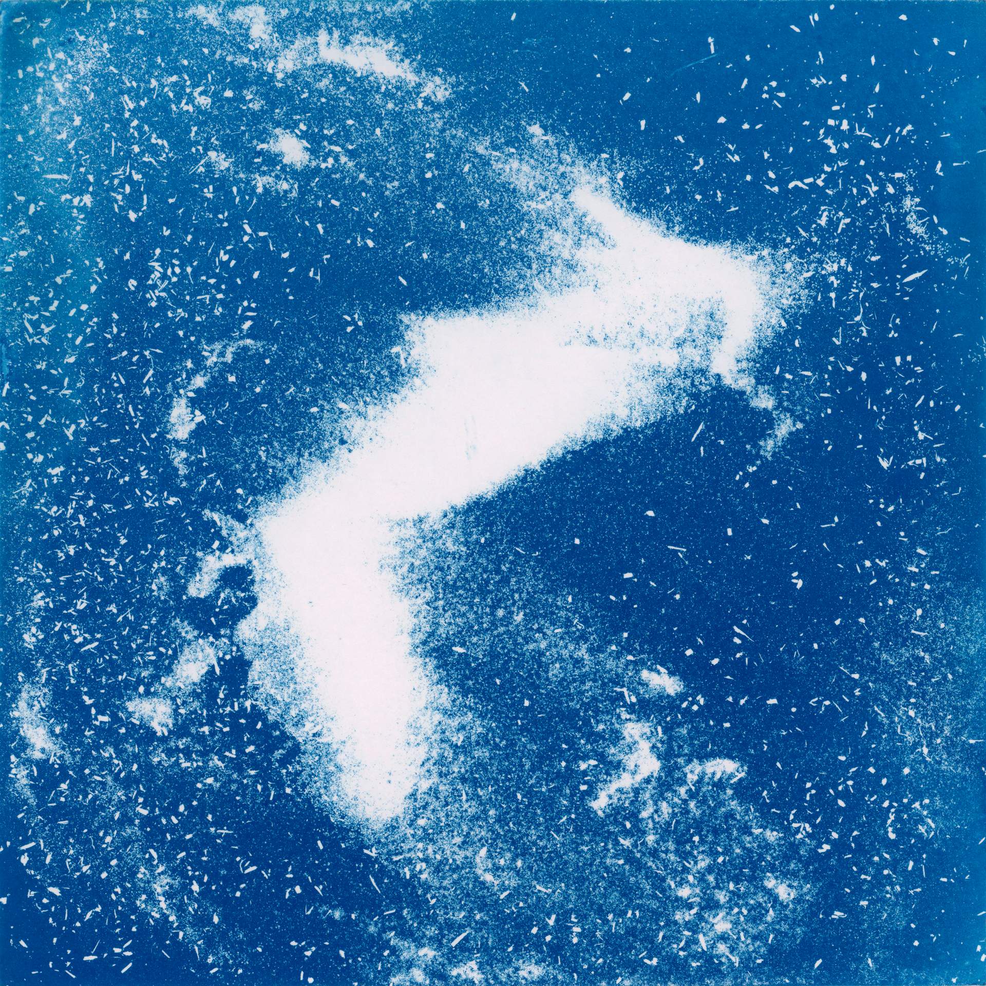 A square cyanotype showing hundreds of white particles of dust, seeds and soil against a deep blue background. There is a distinctive abstracted shape formed by the particles clumping together. The particles appear frozen in time, suggesting that we are viewing them as they move through a storm.