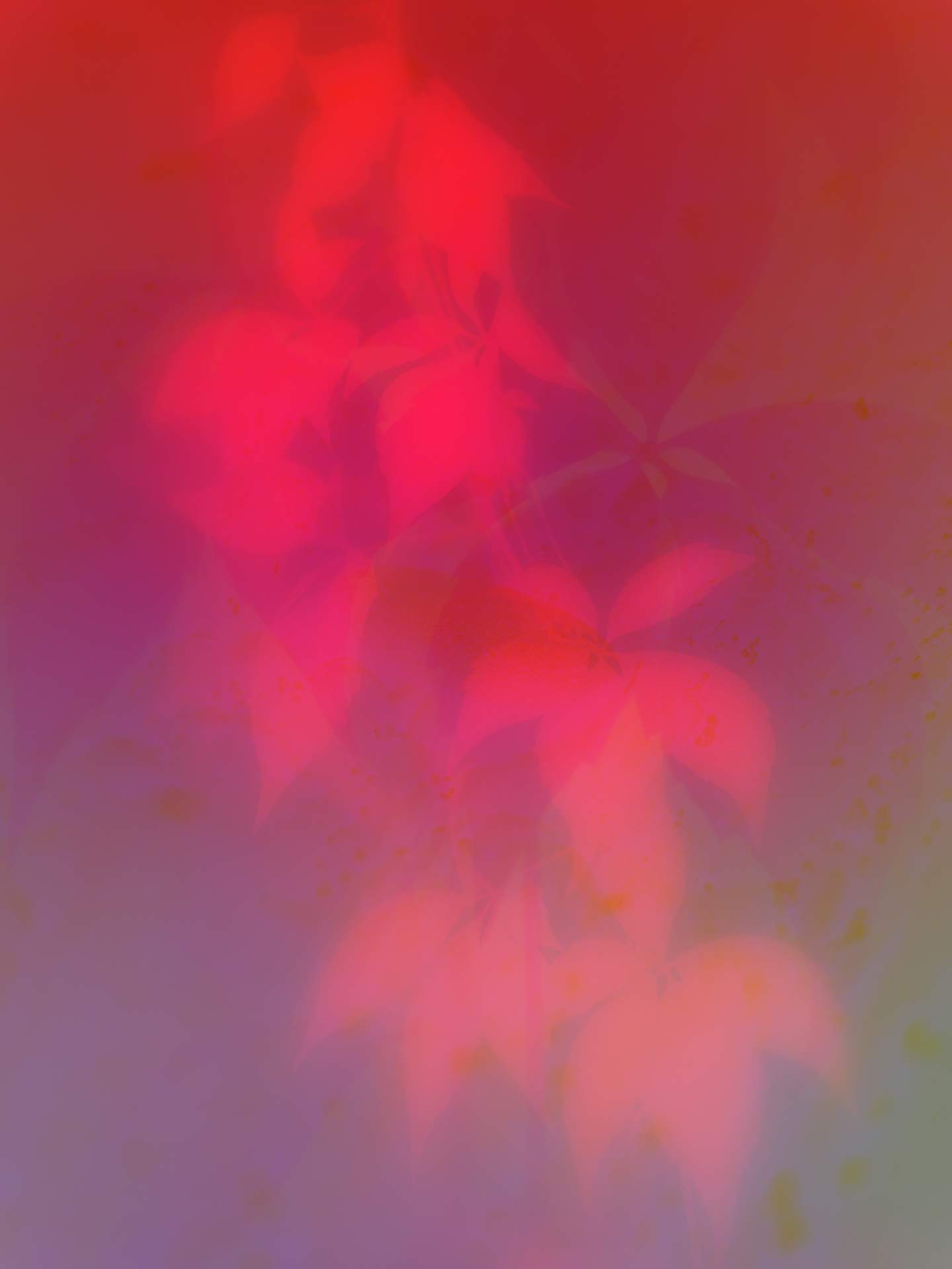 A collage of photographs in an array of hyper-realistic colours. A photograph of red autumn leaves, with a soft glow, can be seen against an abstracted background of leaves and other natural matter.