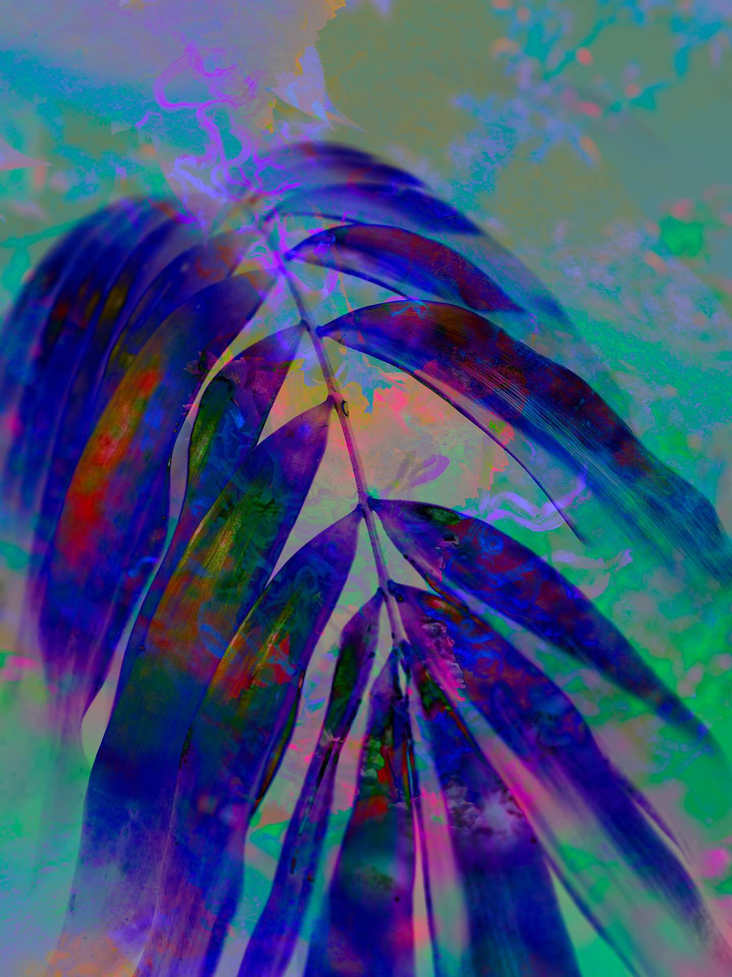 A digital collage consisting of multiple layers of photographs in an array of hyper-realistic colours. A blue palm leaf cascades downwards, and an obscured inverted image of flowers can be seen behind.
