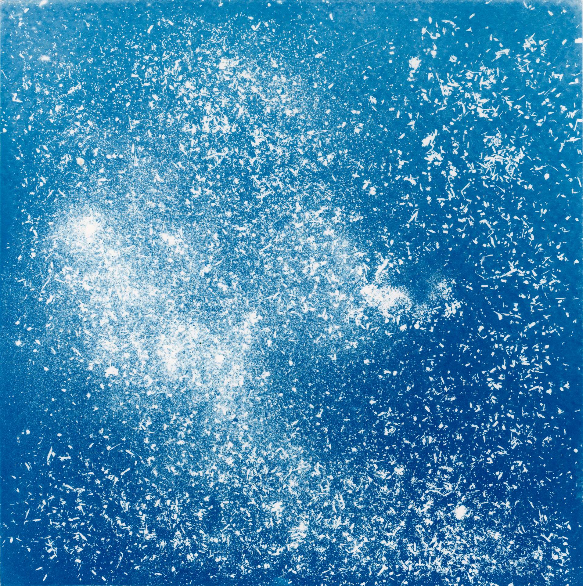 A square cyanotype showing hundreds of white particles of dust, seeds and soil against a deep blue background. The particles appear frozen in time, suggesting that we are viewing them as they move through a storm.