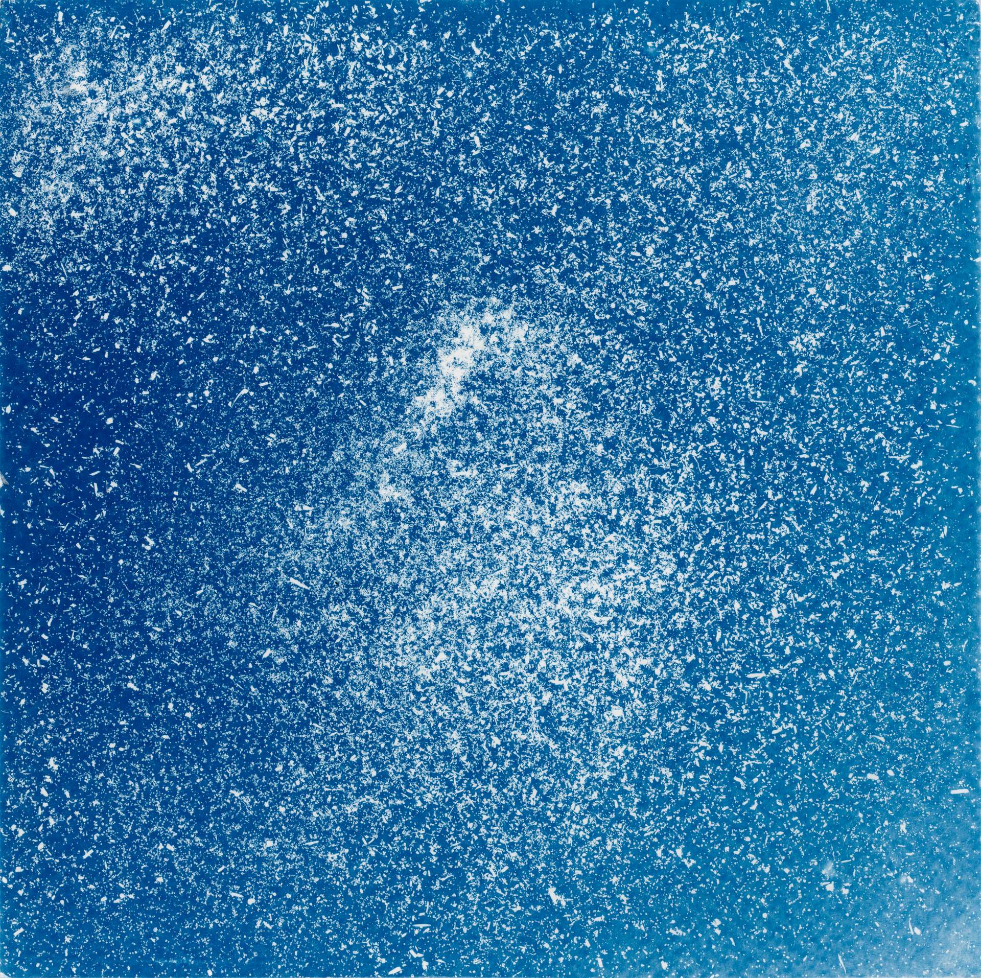 A square cyanotype showing hundreds of white particles of dust, seeds and soil against a deep blue background. The particles appear frozen in time, suggesting that we are viewing them as they move through a storm.