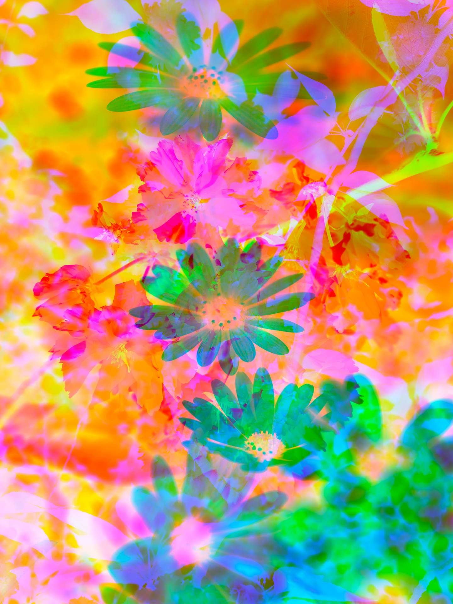 A digital collage, consisting of layers of photographic images in an array of hyper-realistic colours. The inverted image of a cherry blossom can be seen in the centre, with a photograph of another type of flowering plant behind this.