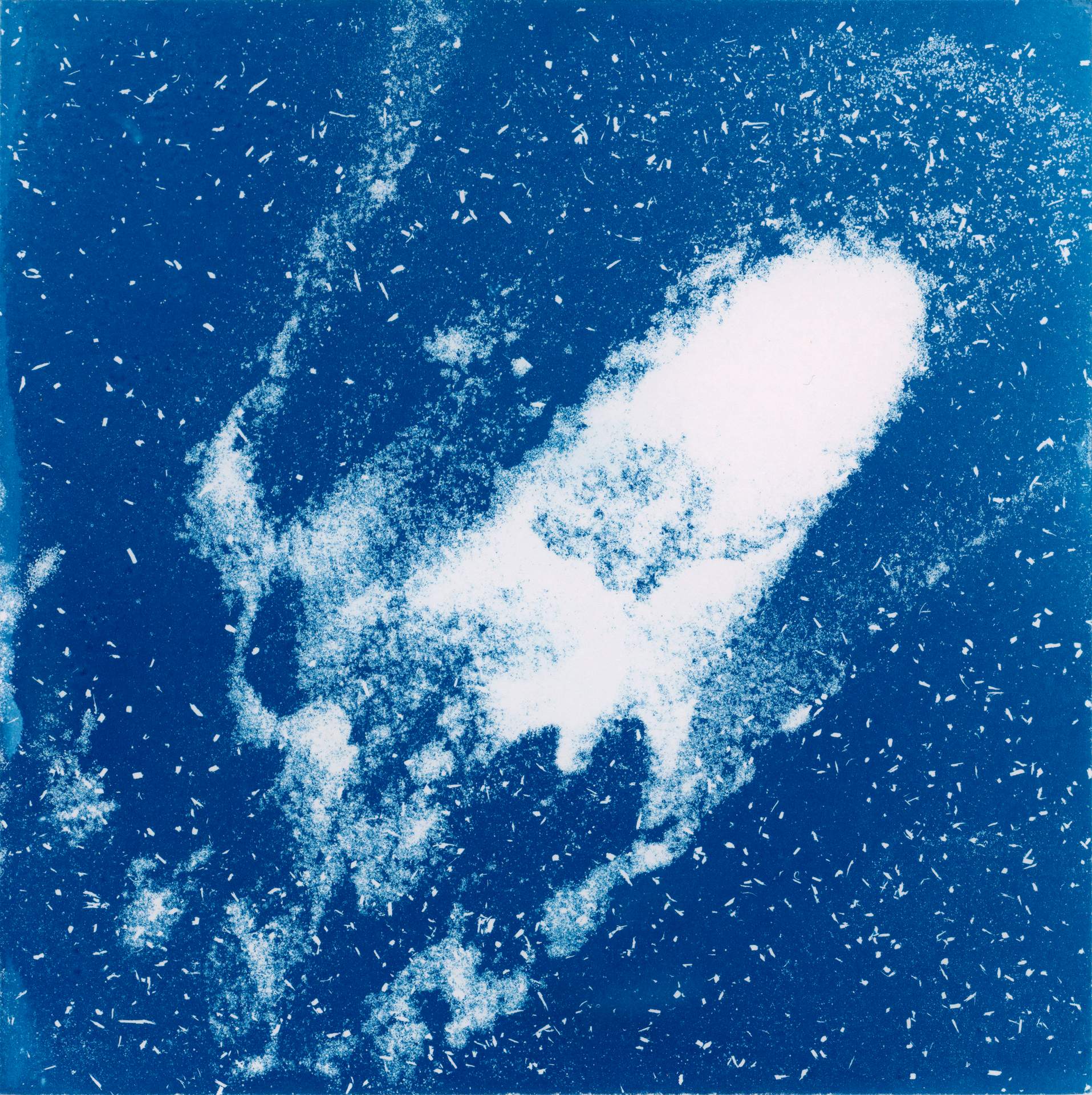 A square cyanotype showing hundreds of white particles of dust, seeds and soil against a deep blue background. There is a distinctive abstracted shape formed by the particles clumping together. The particles appear frozen in time, suggesting that we are viewing them as they move through a storm.