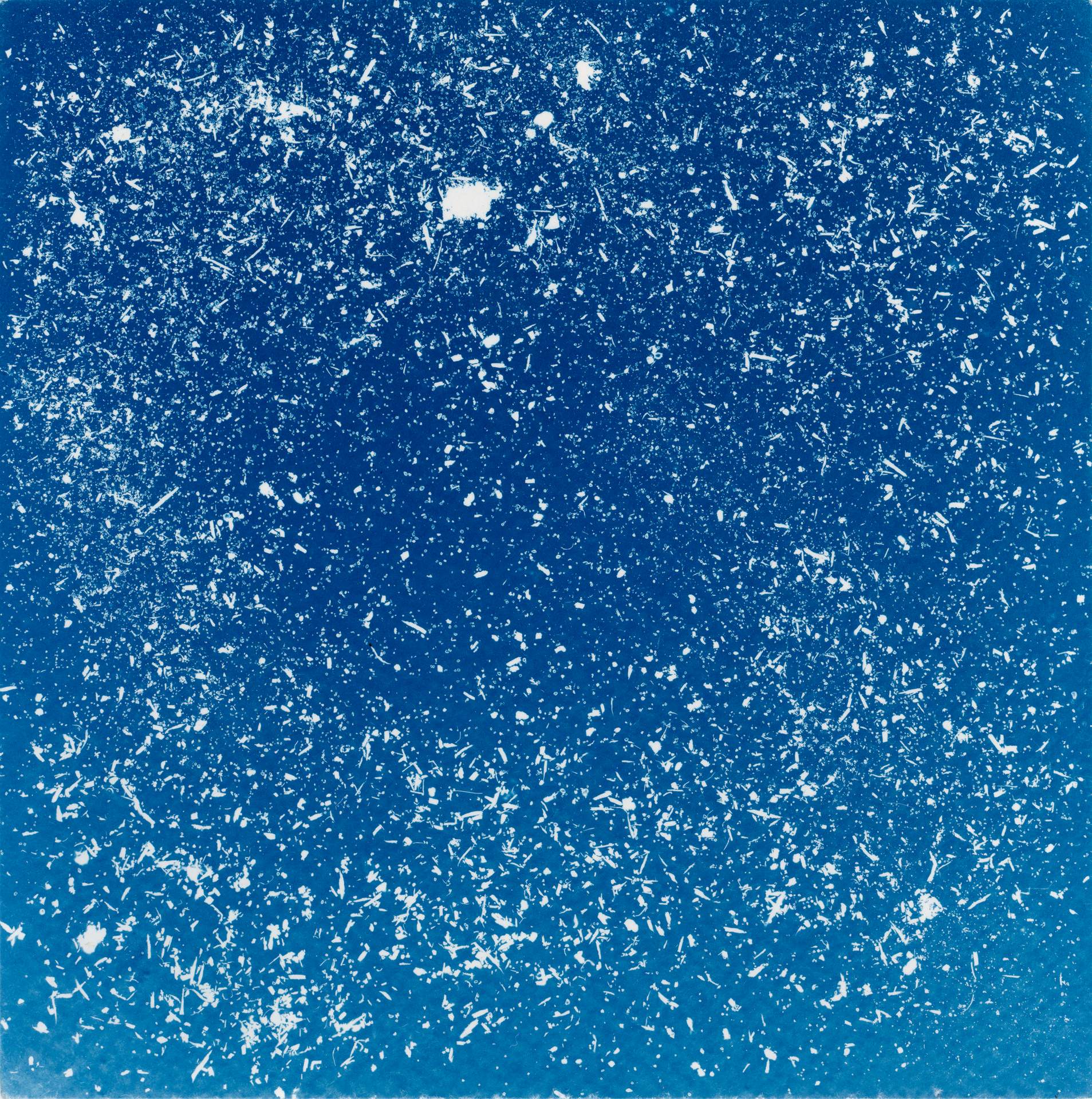 A square cyanotype showing hundreds of white particles of dust, seeds and soil against a deep blue background. The particles appear frozen in time, suggesting that we are viewing them as they move through a storm.
