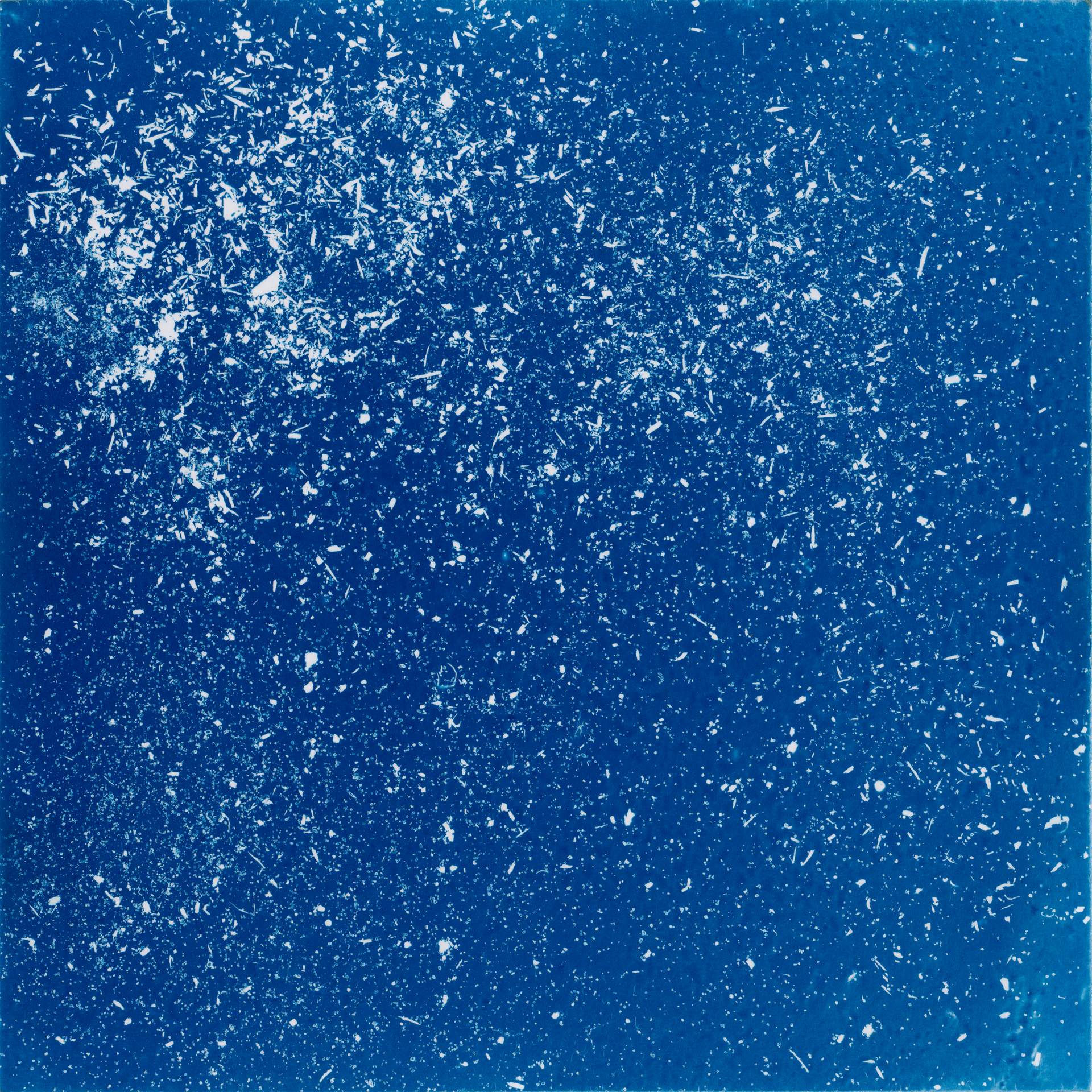 A square cyanotype showing hundreds of white particles of dust, seeds and soil against a deep blue background. The particles appear frozen in time, suggesting that we are viewing them as they move through a storm.