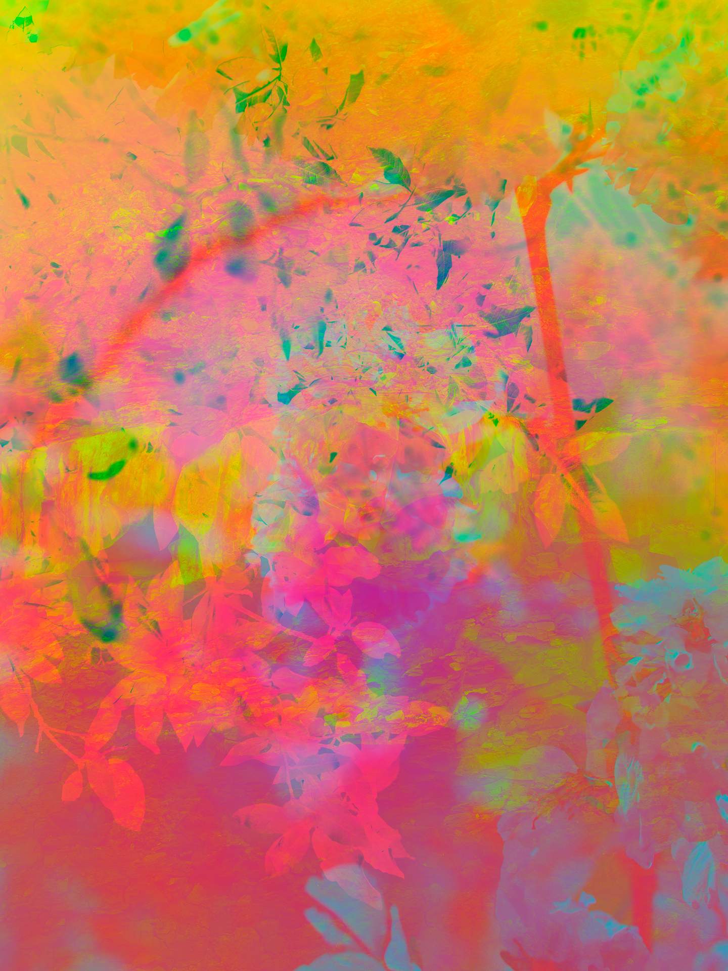 A collage of photographs in an array of hyper-realistic colours. The abstracted branches of a tree can be seen in the foreground, donned with hundreds of leaves. In the background is an inverted rocky landscape.