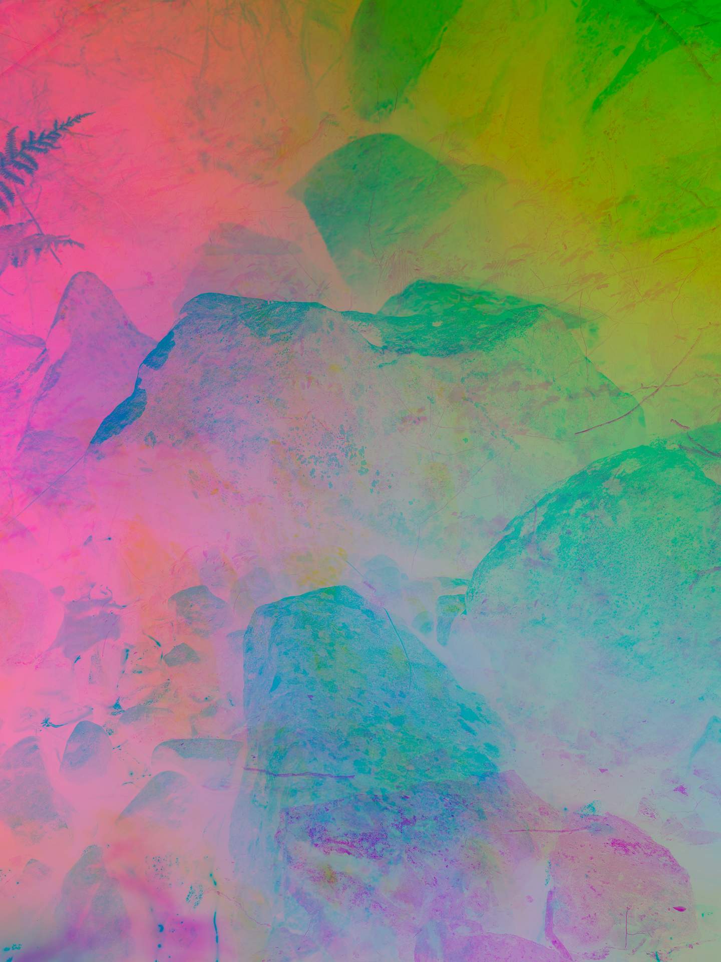 A digital collage, consisting of layers of photographic images in an array of hyper-realistic colours. The inverted image of large rocks near the banks of a stream can be seen on top of an image of plants in a woodland.