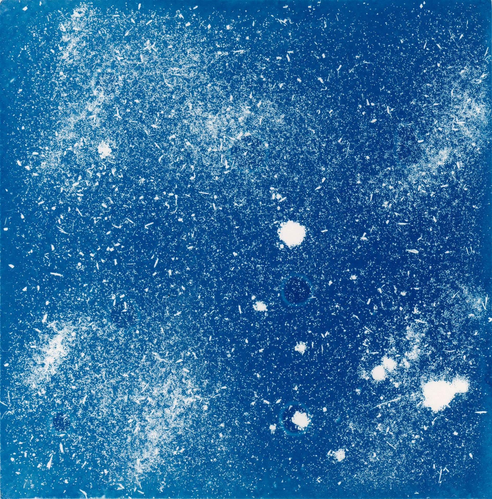 A square cyanotype showing hundreds of white particles of dust, seeds and soil against a deep blue background. The particles appear frozen in time, suggesting that we are viewing them as they move through a storm.