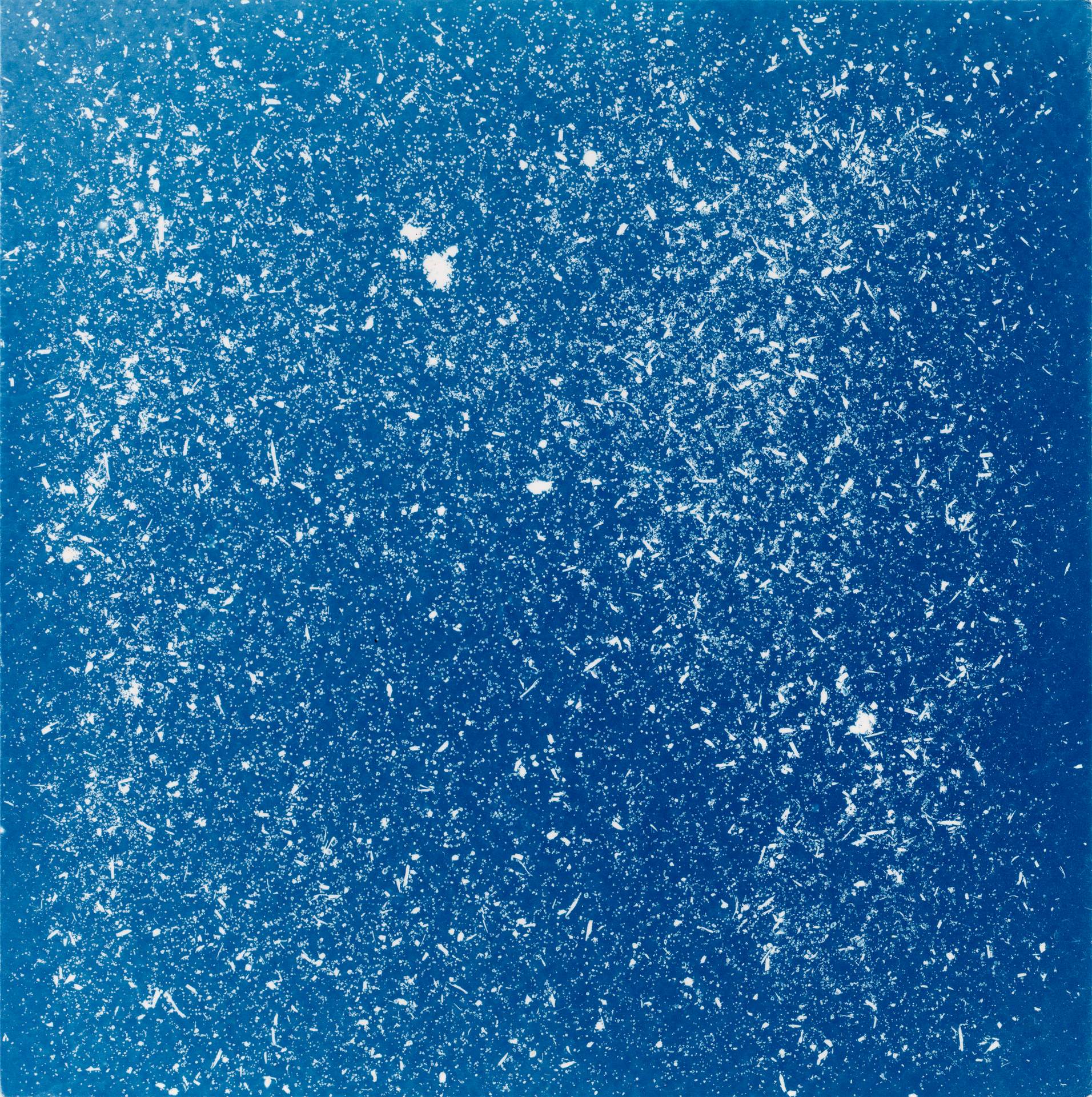 A square cyanotype showing hundreds of white particles of dust, seeds and soil against a deep blue background. The particles appear frozen in time, suggesting that we are viewing them as they move through a storm.