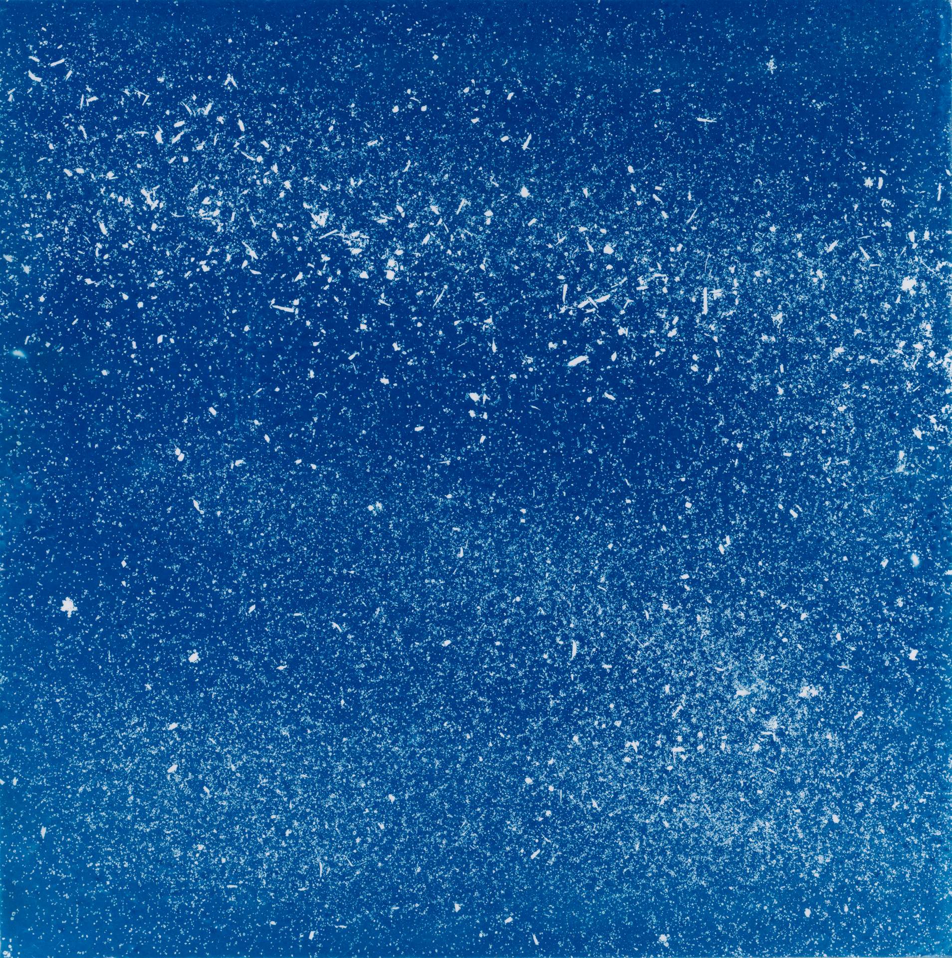 A square cyanotype showing hundreds of white particles of dust, seeds and soil against a deep blue background. The particles appear frozen in time, suggesting that we are viewing them as they move through a storm.