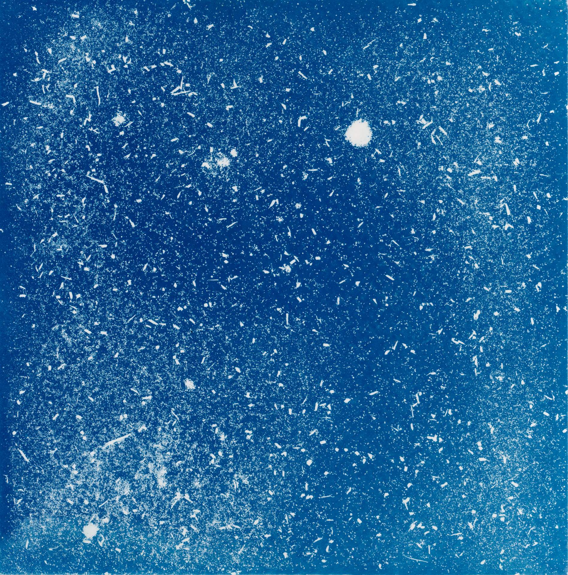 A square cyanotype showing hundreds of white particles of dust, seeds and soil against a deep blue background. The particles appear frozen in time, suggesting that we are viewing them as they move through a storm.