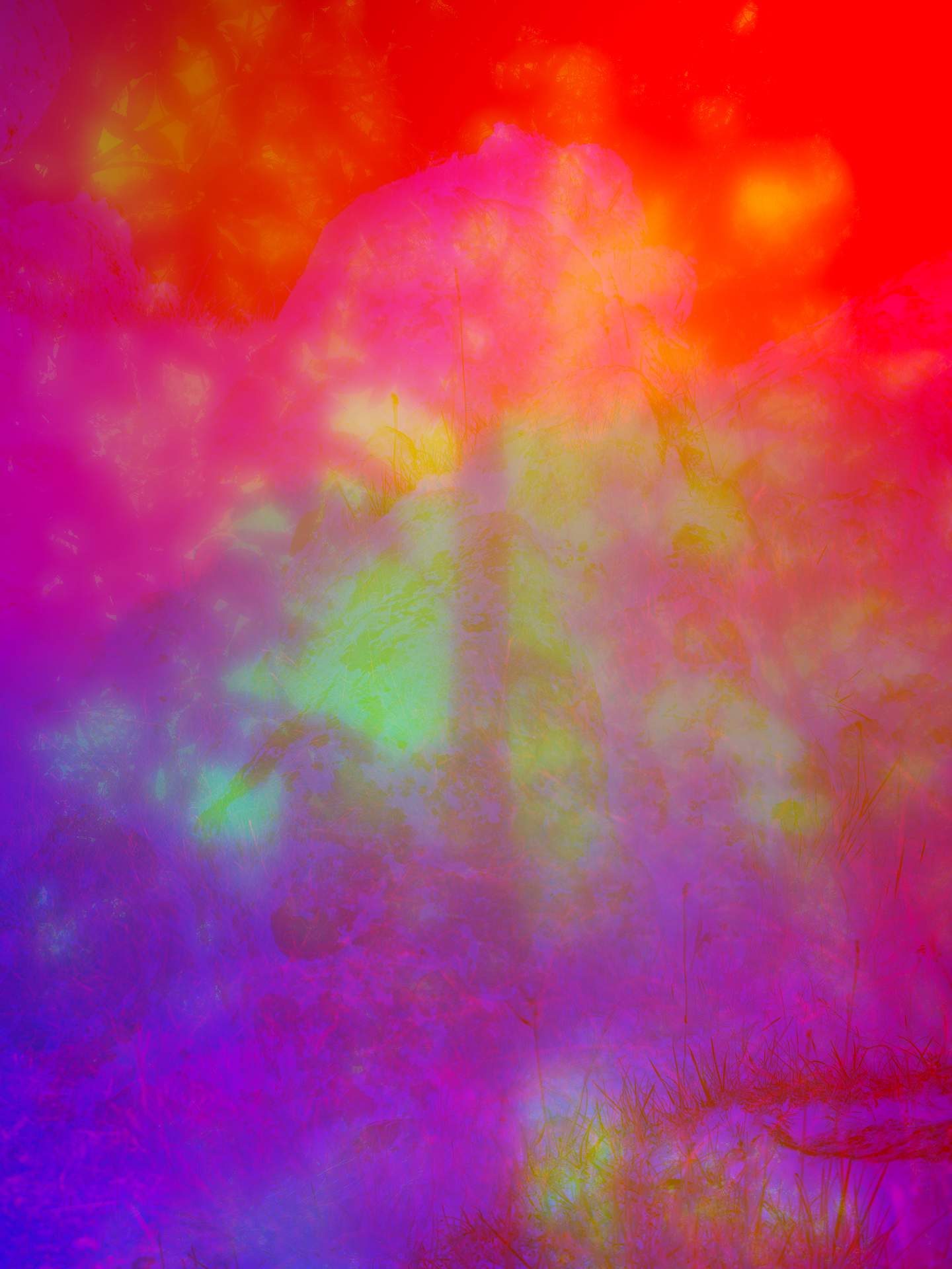 A collage of photographs in an array of hyper-realistic colours. A tree can be seen in the foreground, with a soft other-worldly glow. In the background a faint grassy and rocky landscape can be seen.