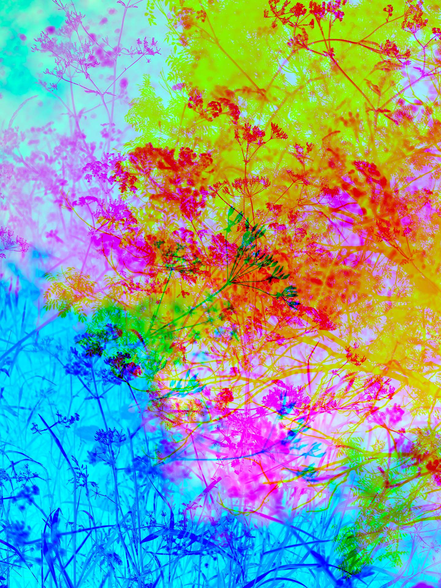 A digital collage, consisting of layers of photographic images of wild flowers and plants in an array of hyper-realistic colours. The scene is dominated by blue, pink, red and yellow colours.