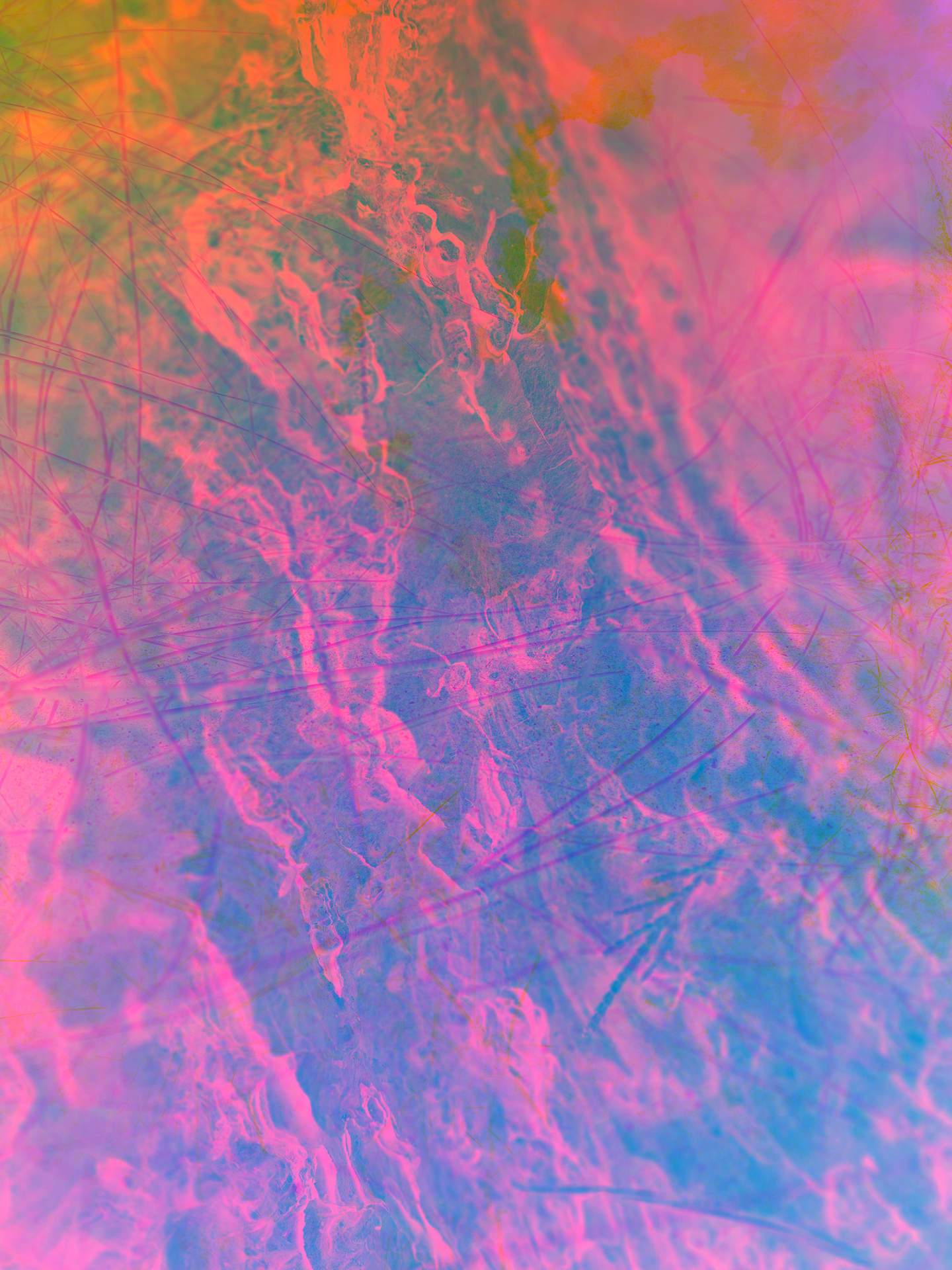 A collage of photographs in an array of hyper-realistic colours. A close-up inverted photograph of bark can be seen in the foreground. In the background is a photograph of a coastal sand dune.