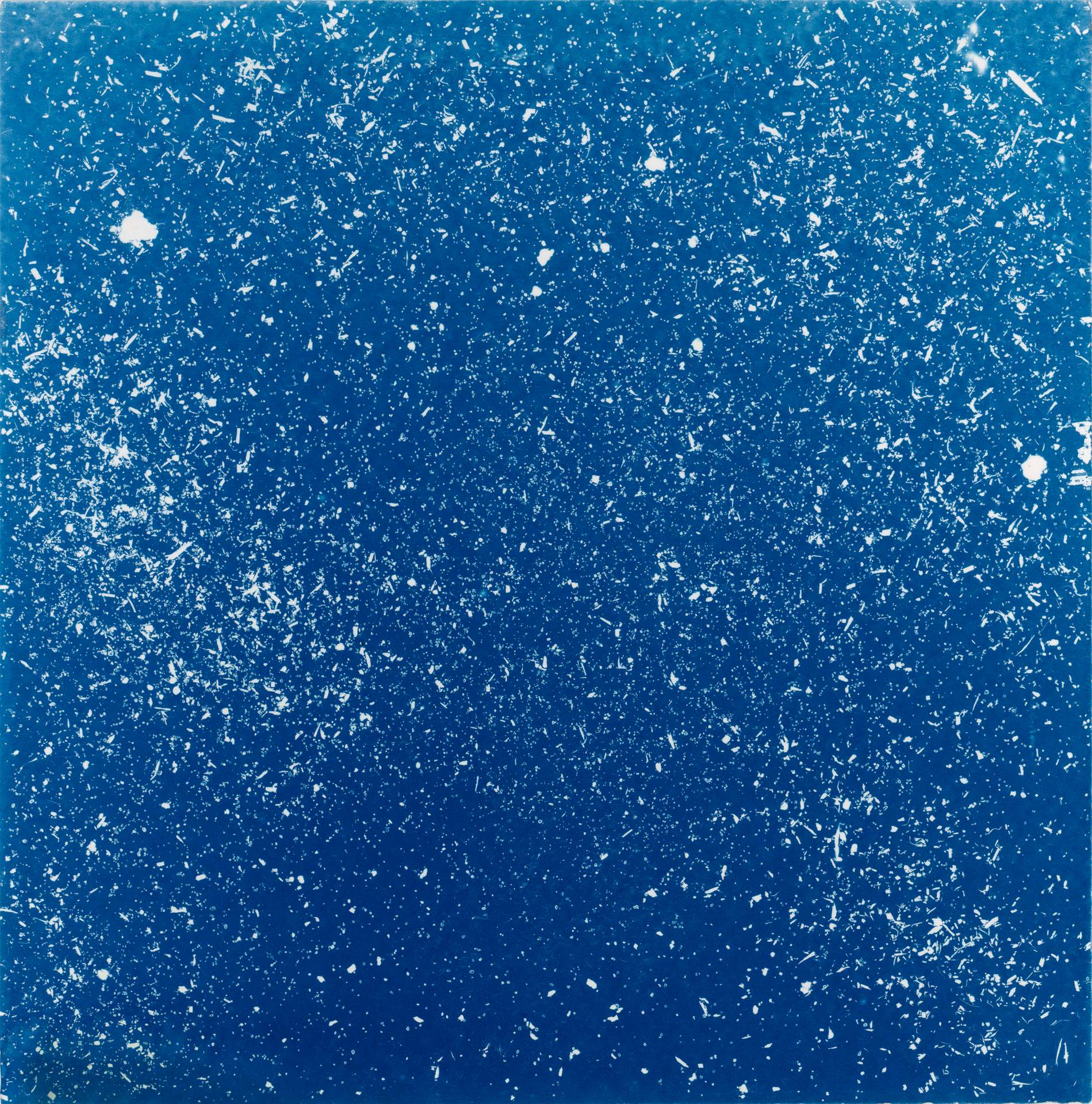 A square cyanotype showing hundreds of white particles of dust, seeds and soil against a deep blue background. The particles appear frozen in time, suggesting that we are viewing them as they move through a storm.