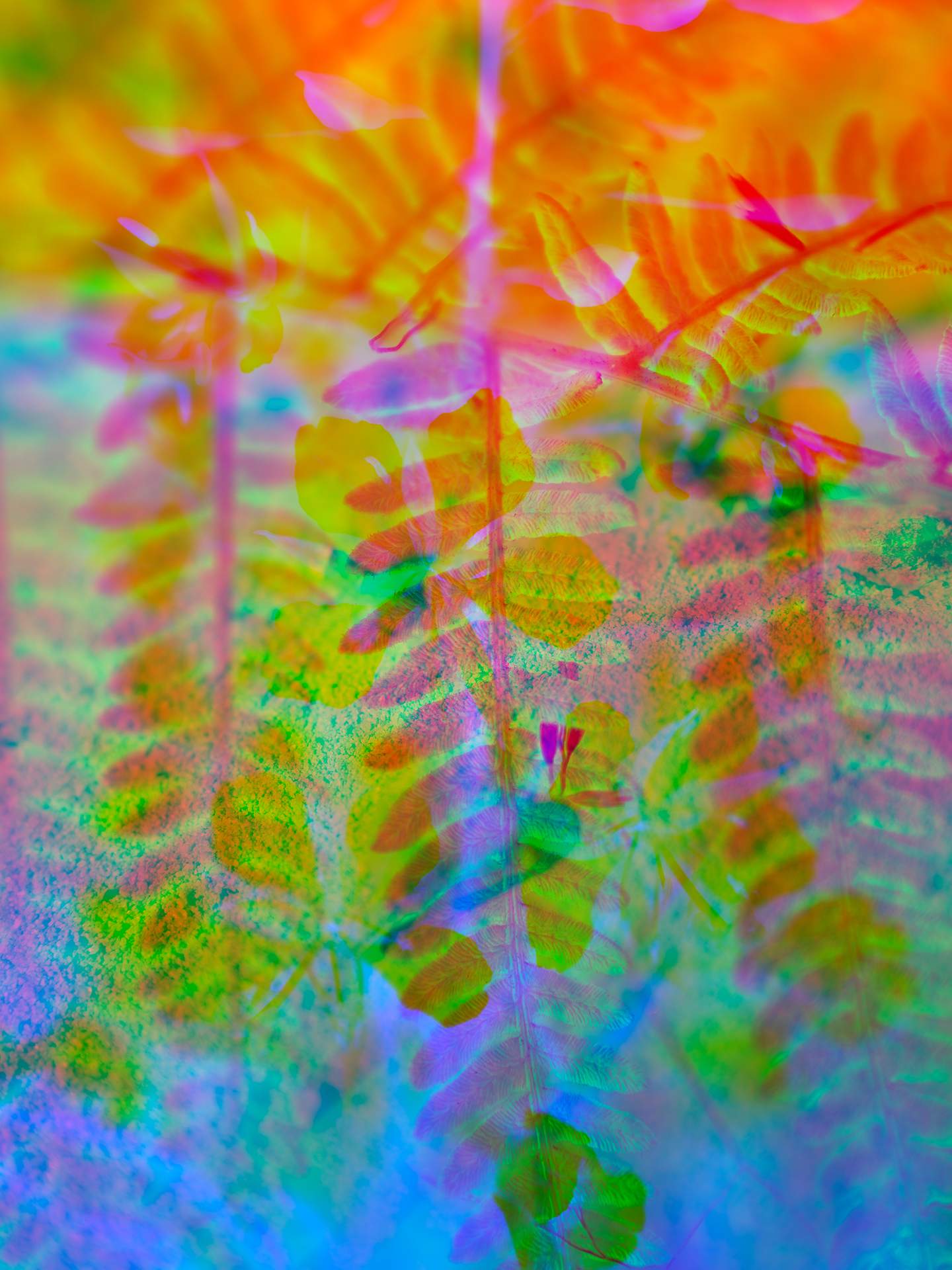 A digital collage, consisting of layers of photographic images in an array of hyper-realistic colours. The close-up image of a fern can be seen on top of an image of sand.