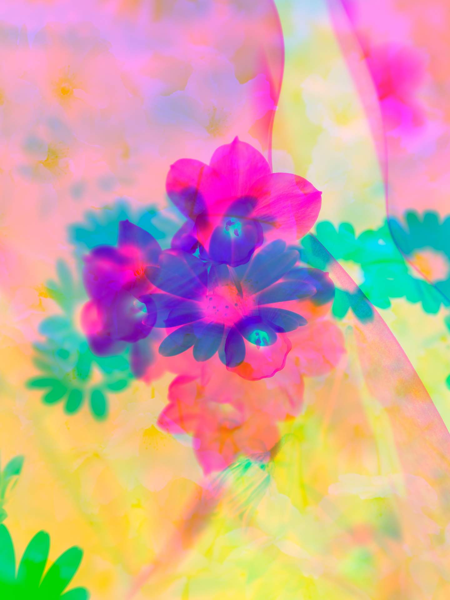 A digital collage, consisting of layers of photographic images in an array of hyper-realistic colours. Various photographs of flowers and plants can be seen colliding with each other. The dominating colours are yellow, orange, pink and blue.