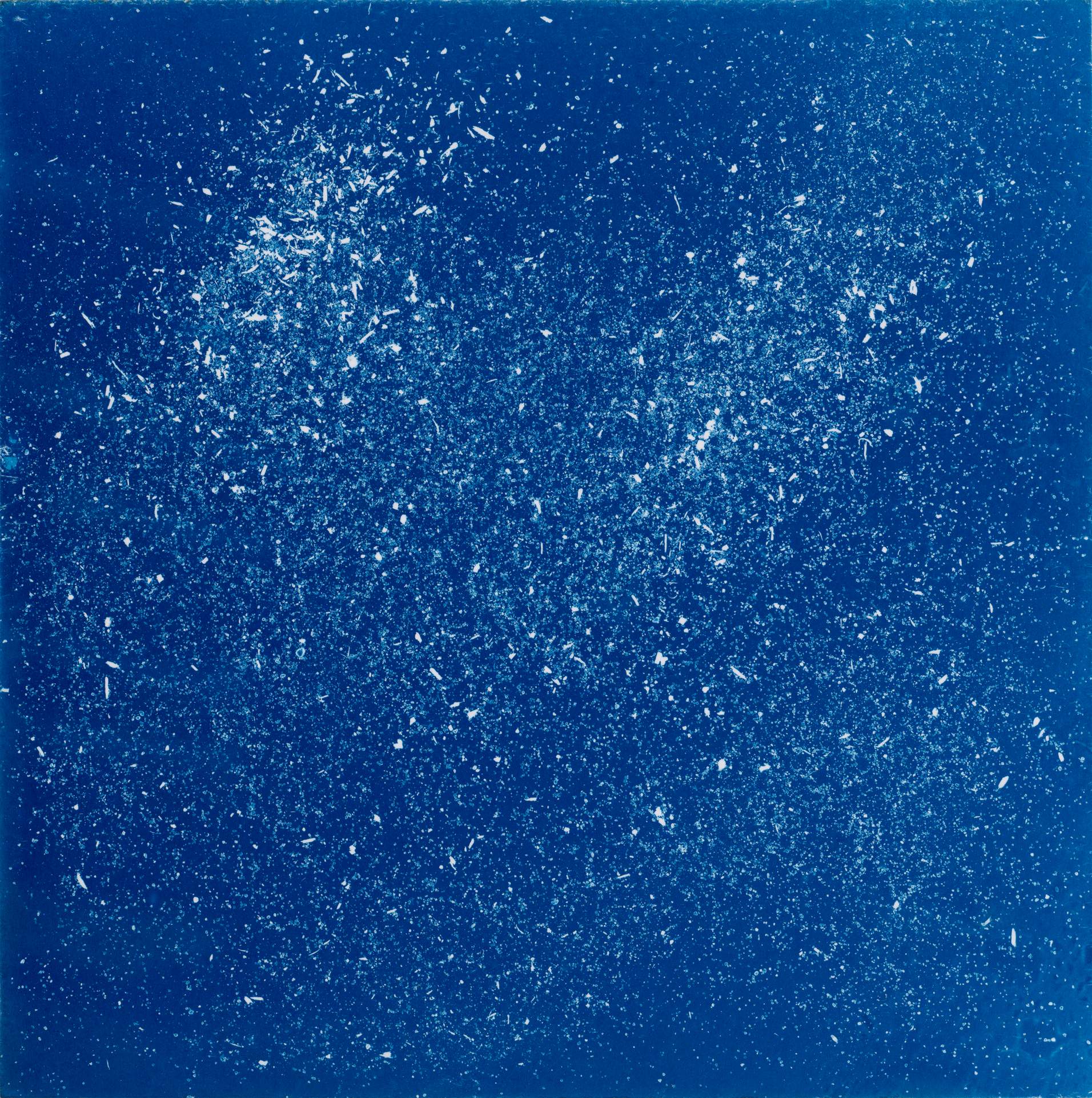A square cyanotype showing hundreds of white particles of dust, seeds and soil against a deep blue background. The particles appear frozen in time, suggesting that we are viewing them as they move through a storm.