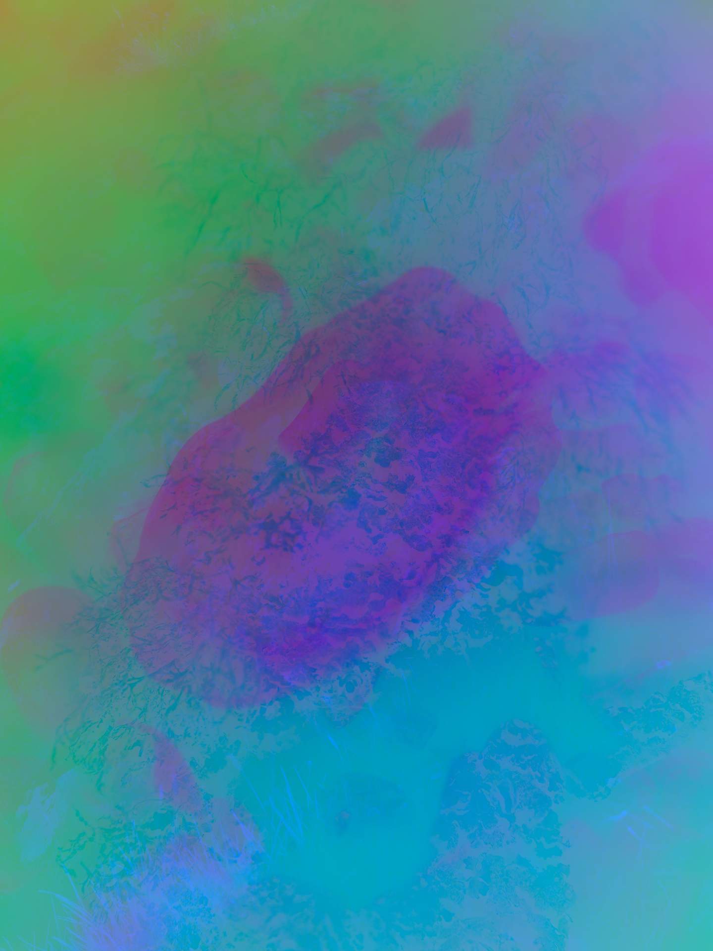 A digital collage consisting of multiple layers of photographs in an array of hyper-realistic colours. The silhouette of a shell can be seen in a dark blue. Below this, shrouded in mist, is the inverted image of a collection of rocks by a stream of water.